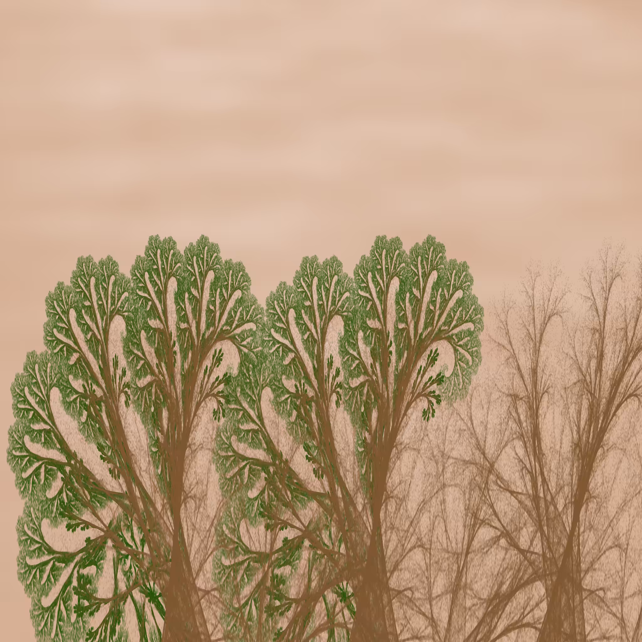 Chaotic Treescape #13