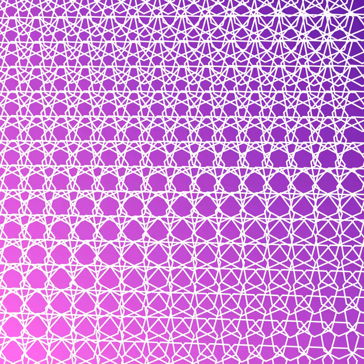 bilinearInterpolationTwist #18