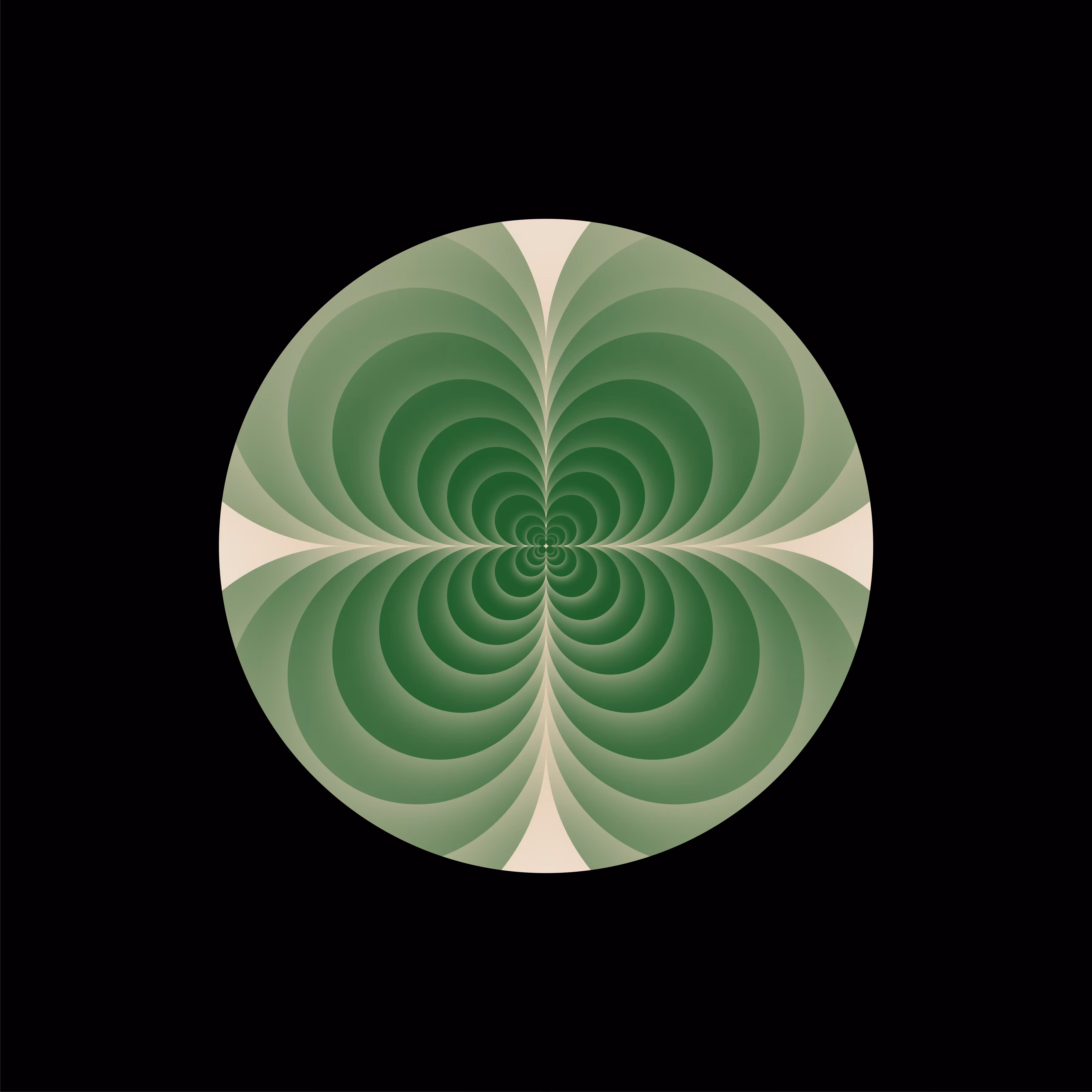 Clover #7