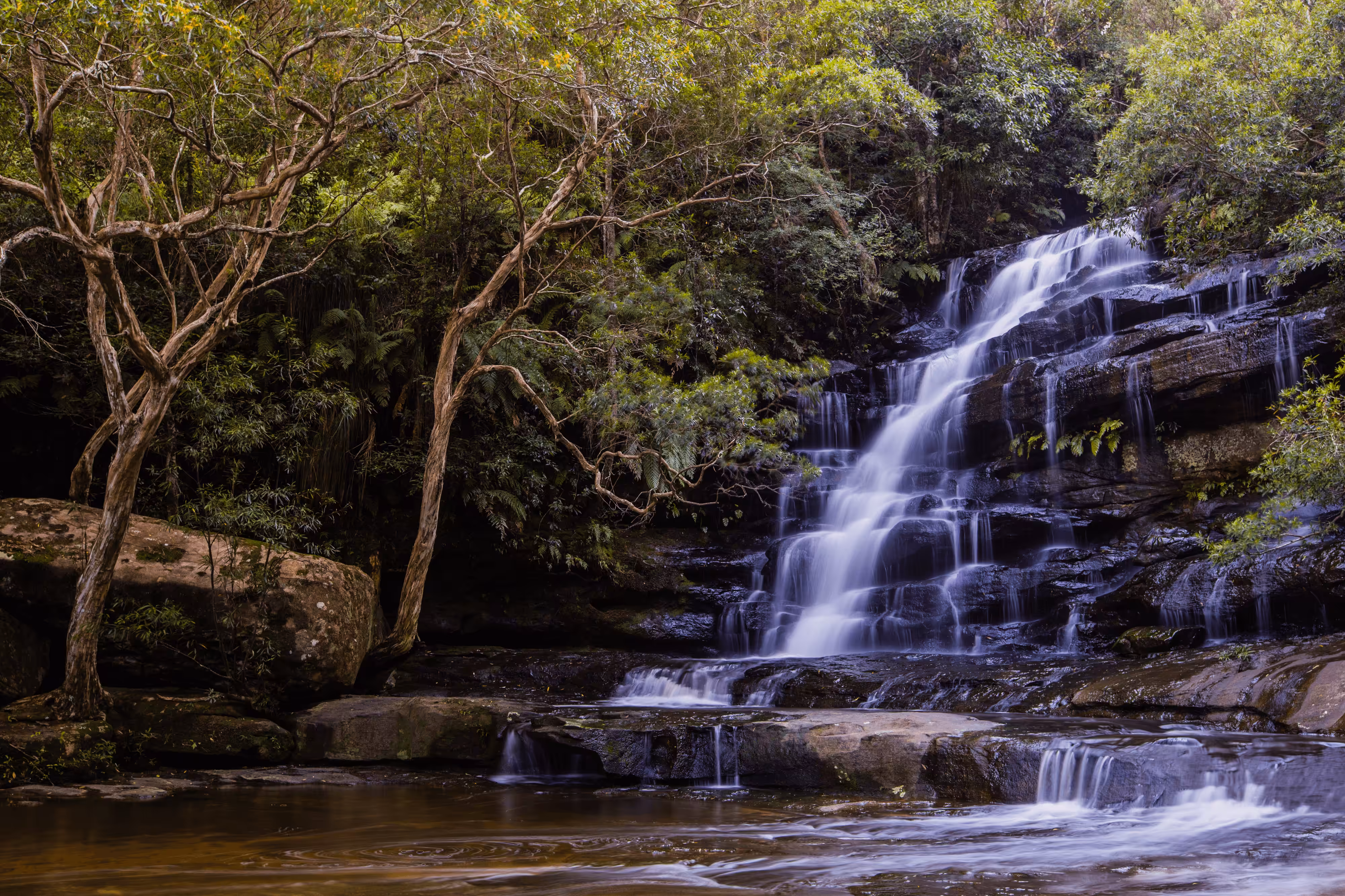 #42 - Somersby Falls