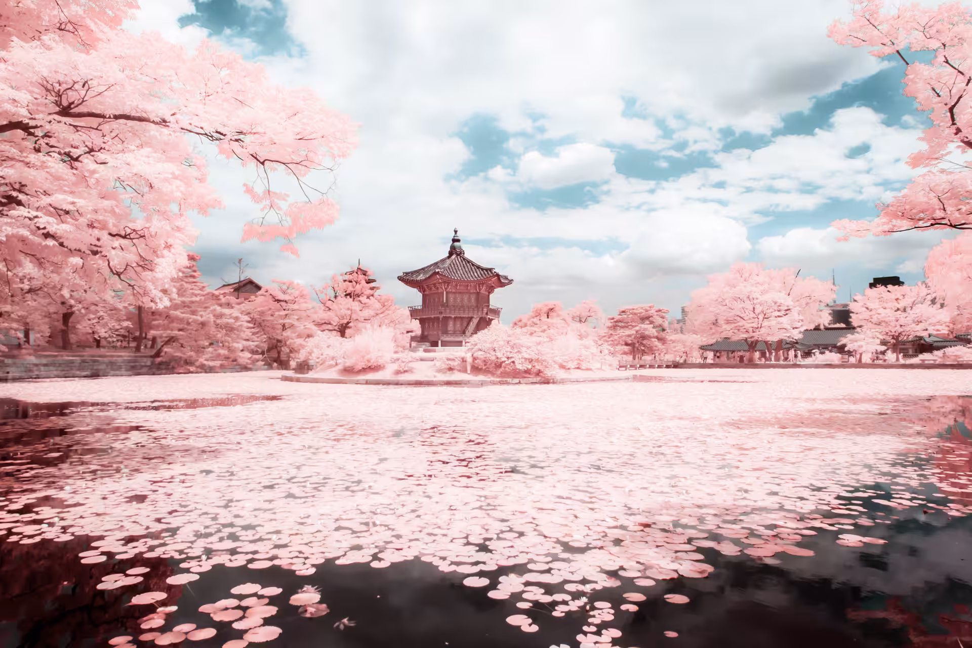 Moments #47