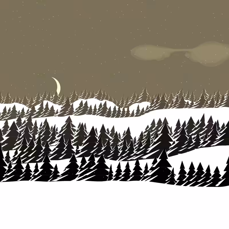 Winterland #241