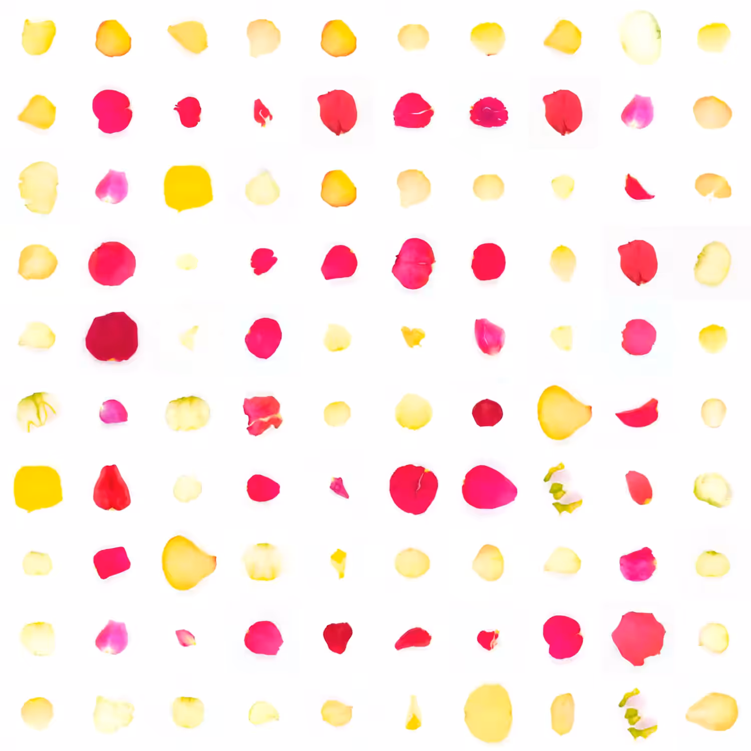Infinite Petals 10x10#611