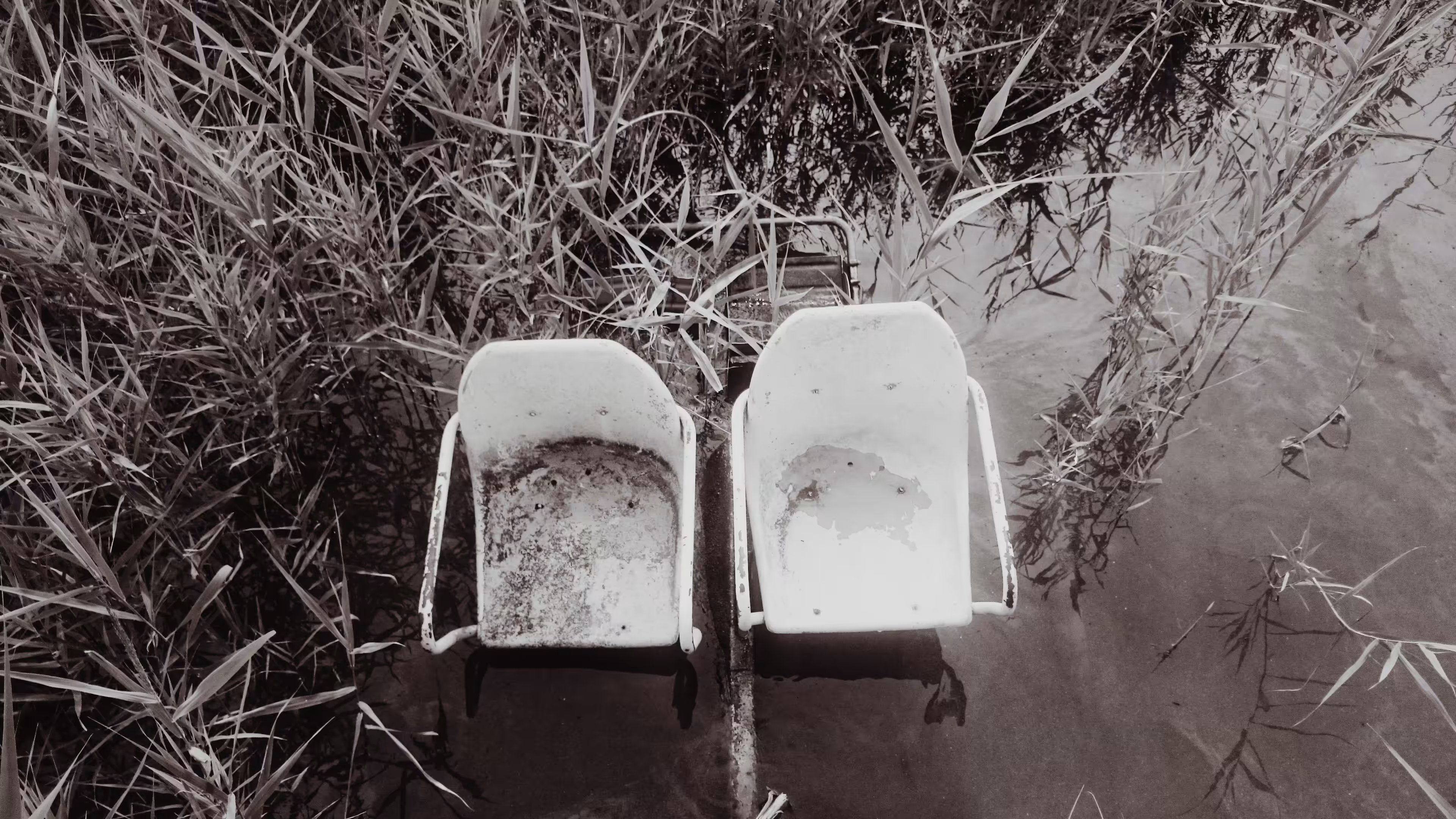 Photos: Untitled