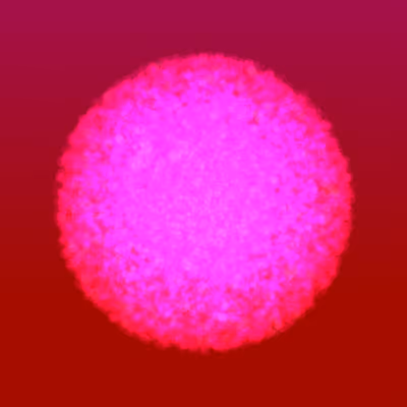 Coalesce #273