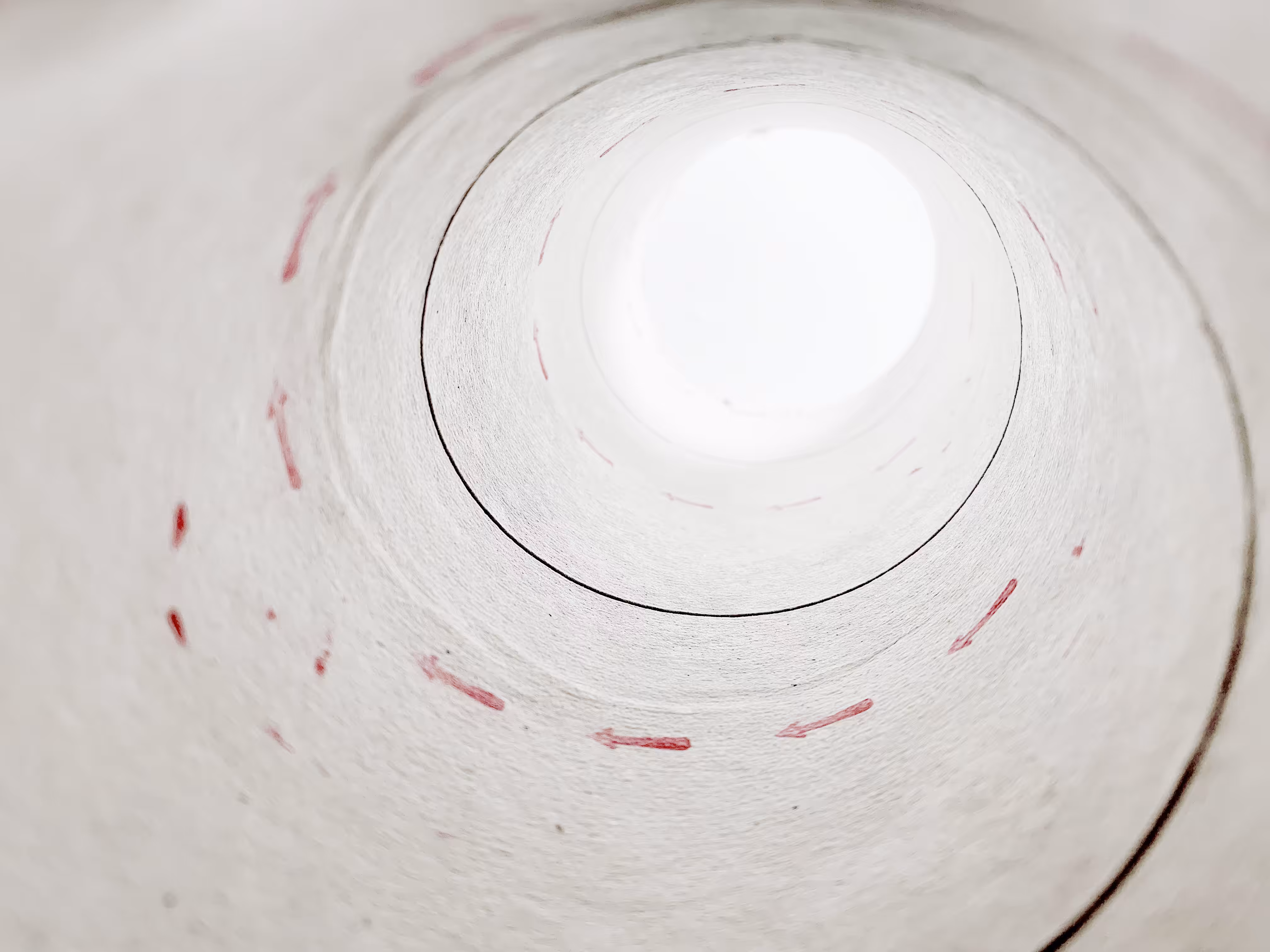Vortex
