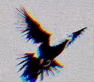 White Dove