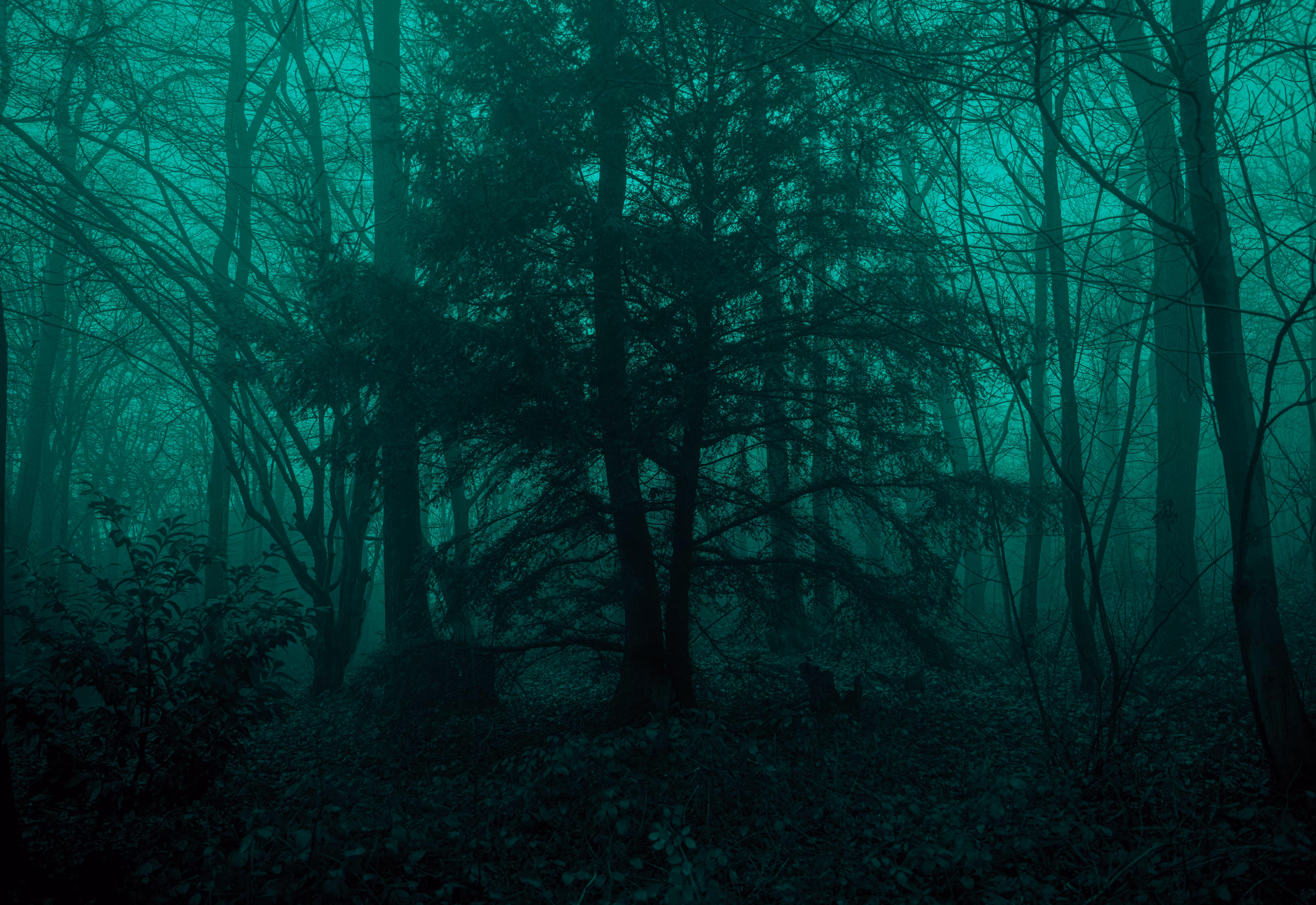 Welcome to my horror movie
