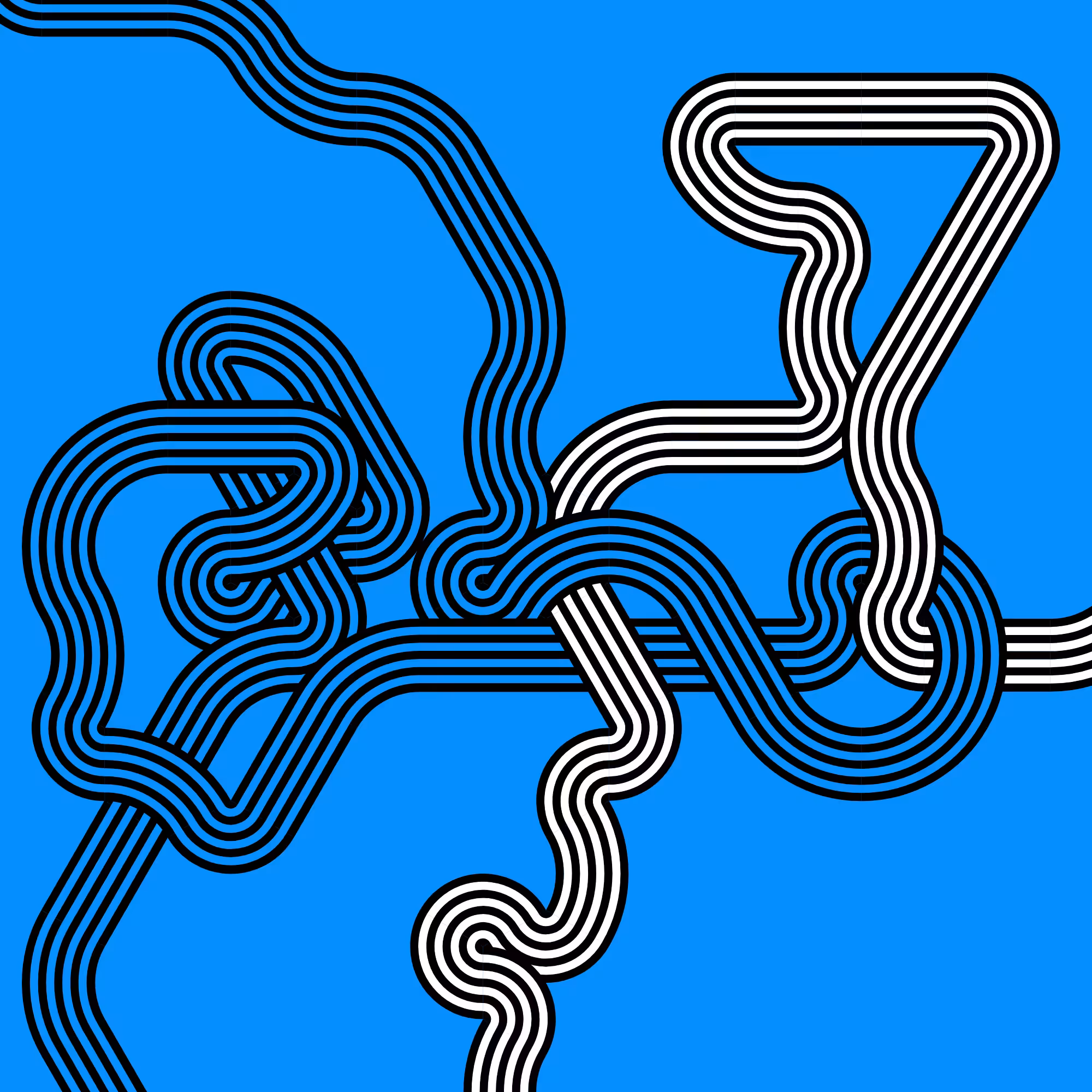 Wanderer #232