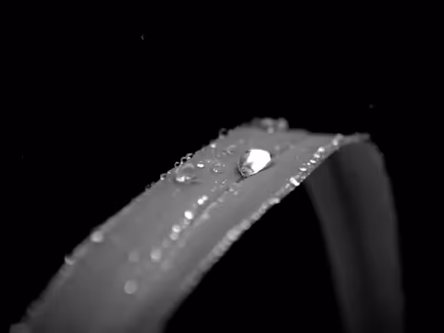 Rain Drop