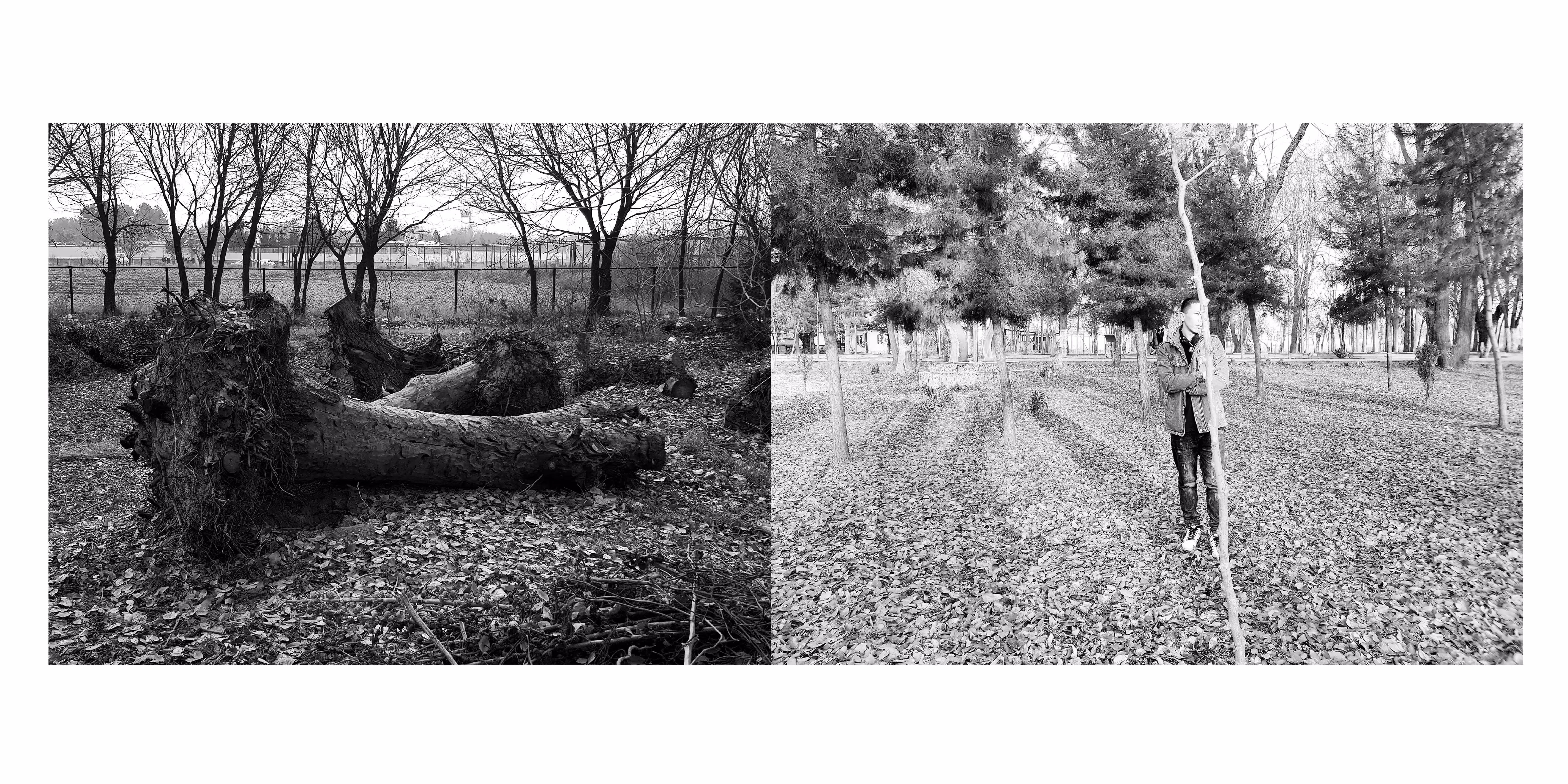 Meaningless 5 (Art Photography)