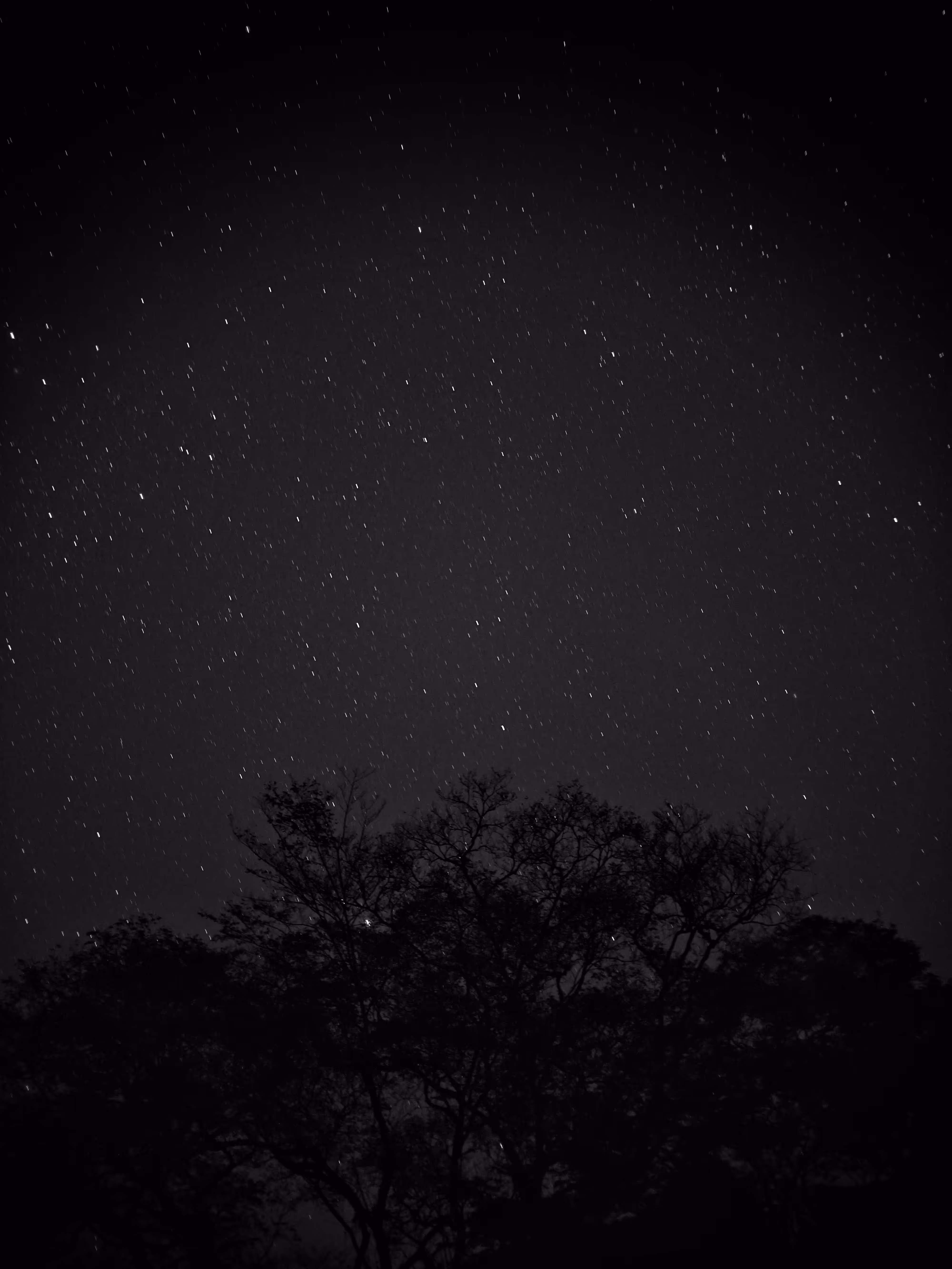 Among The Stars