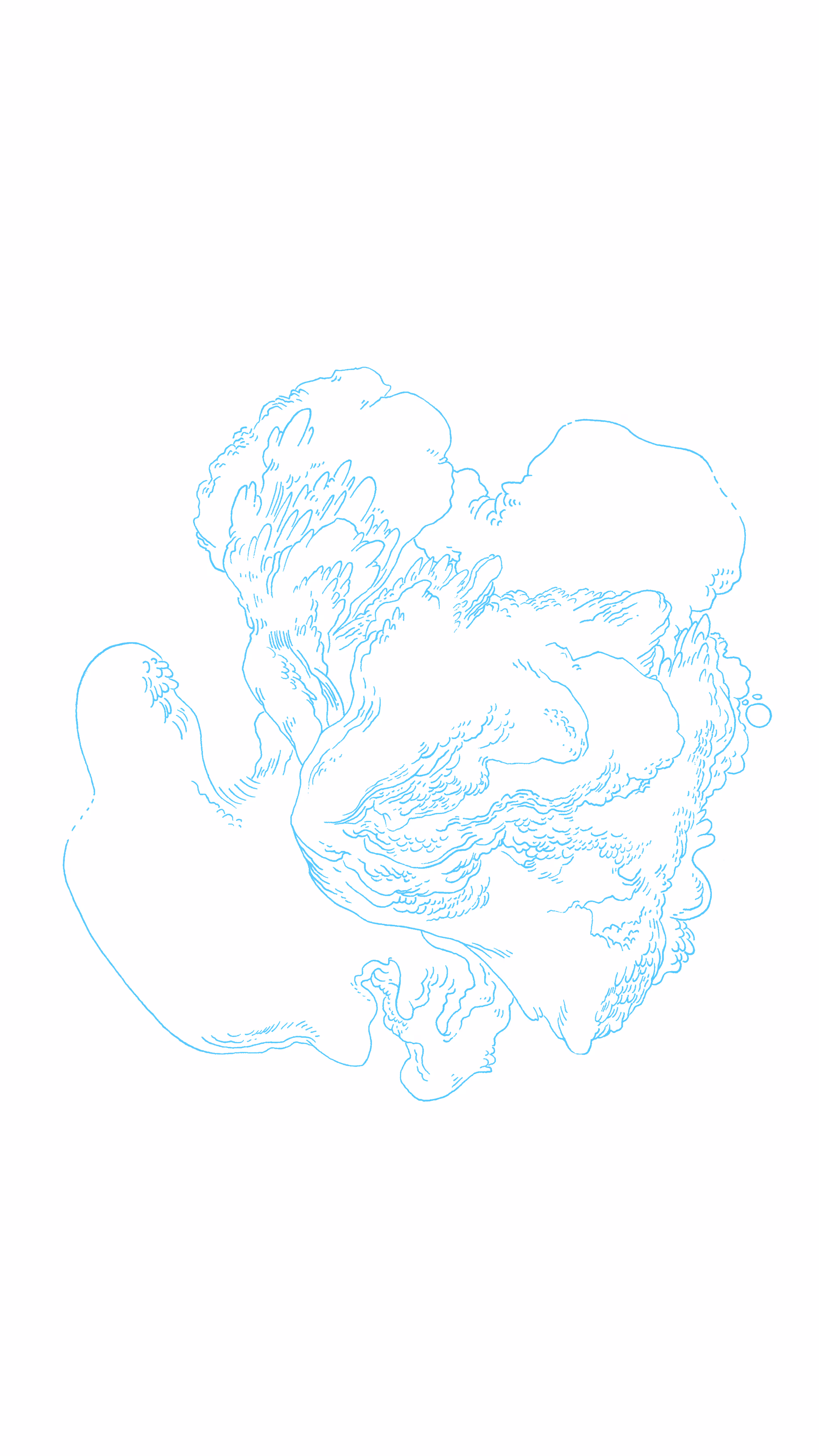 Form_06