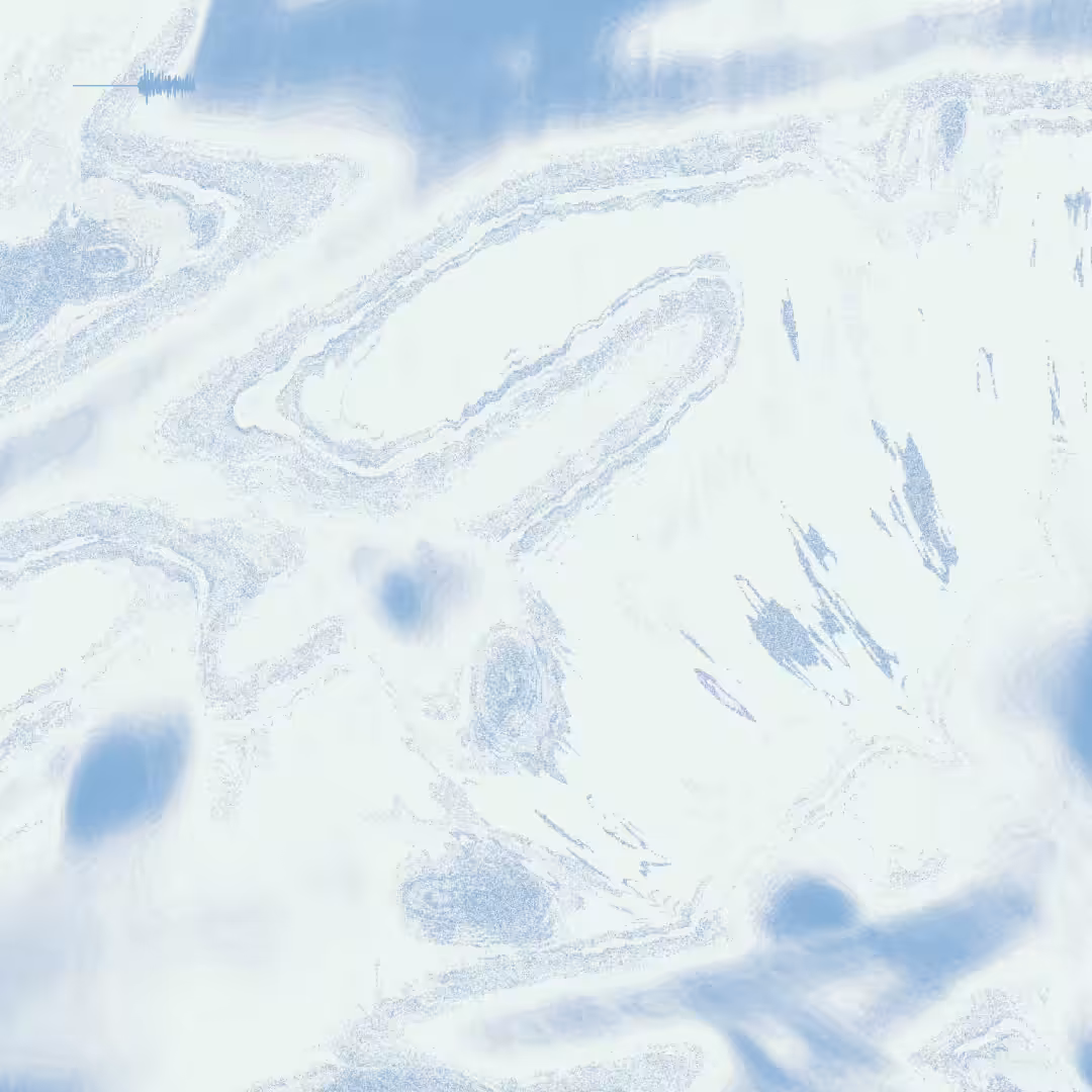 CHORALPRISM 003