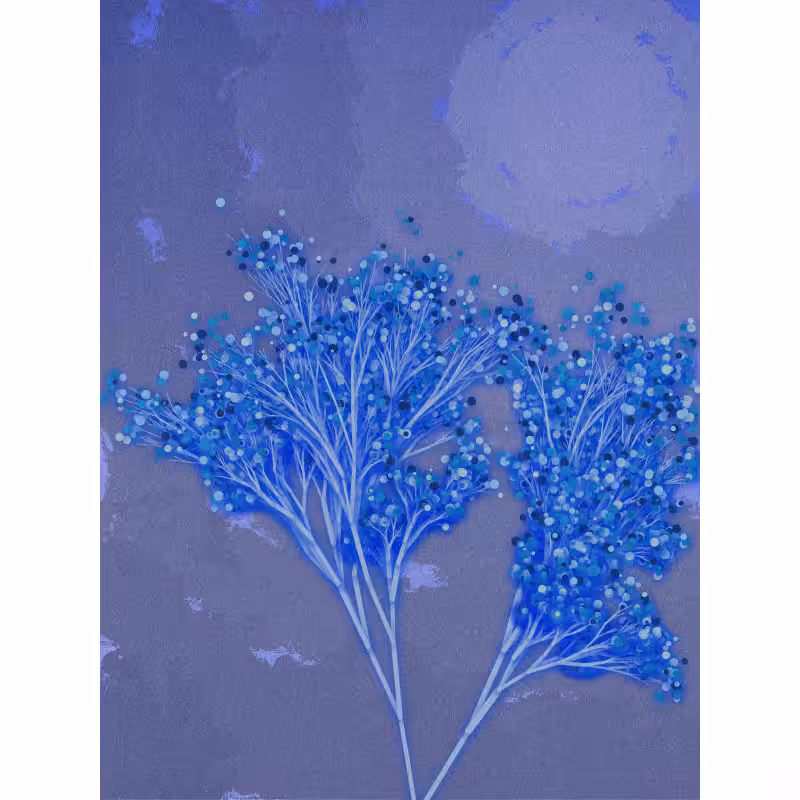 Garden of the Hesperides #102
