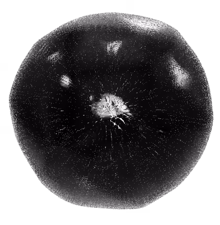 SINGULARITY