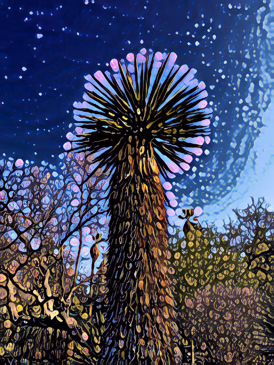 Starcullent