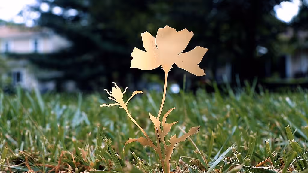 Ojeda OEs: Touching_grass.mp4