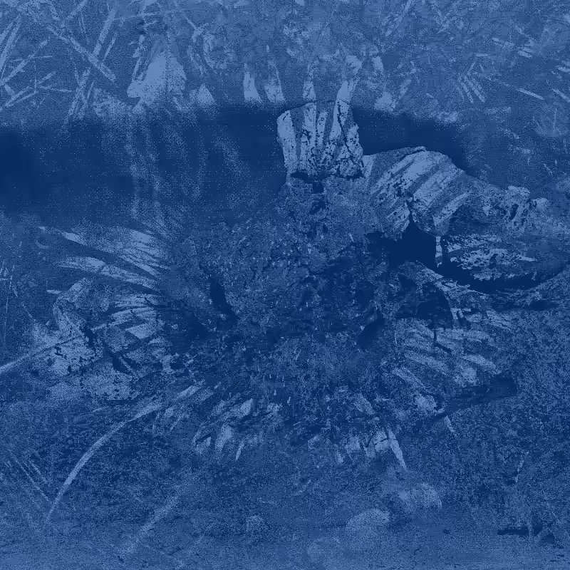Plant remains #4