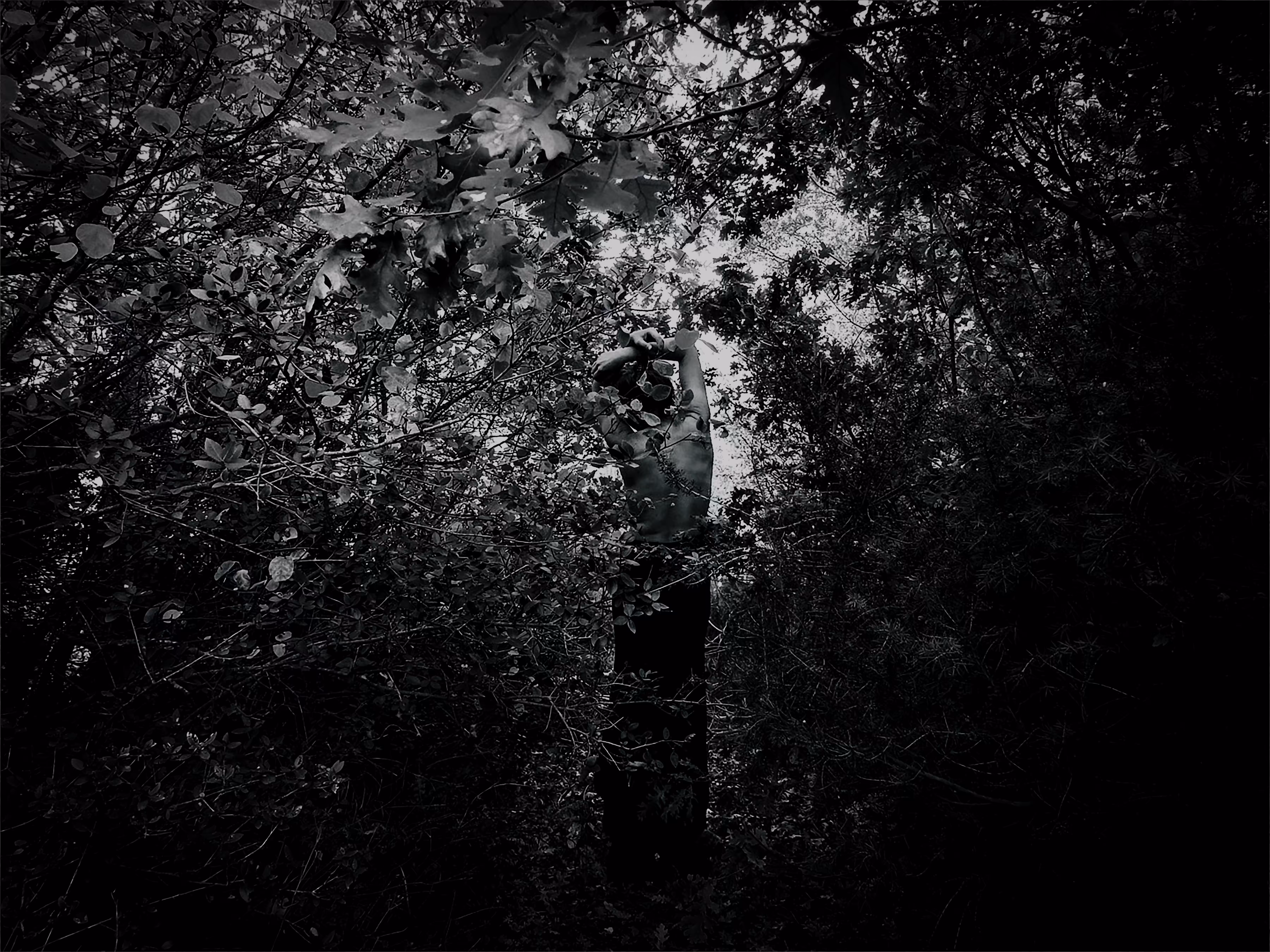 oresteia_