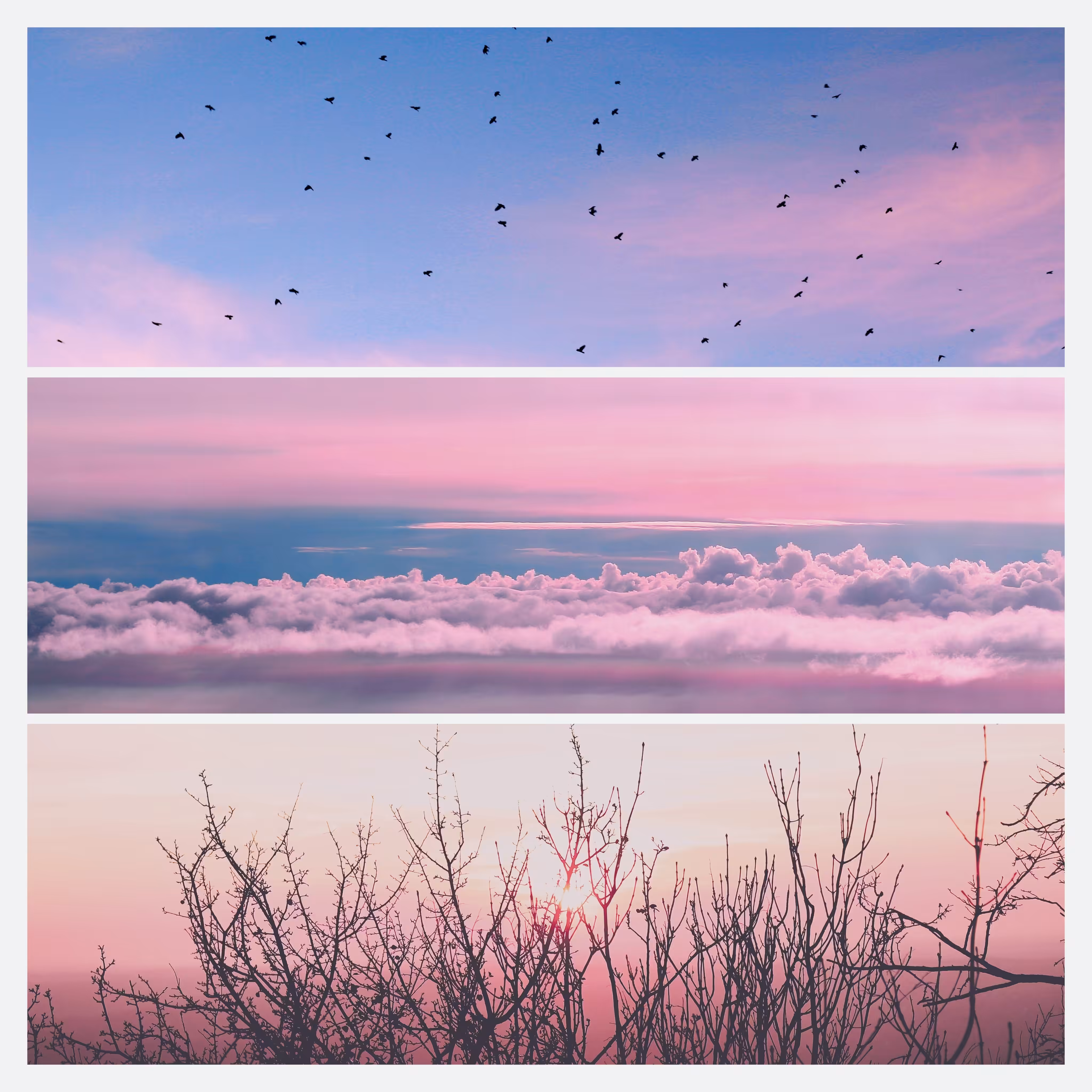 Pastel Dreams