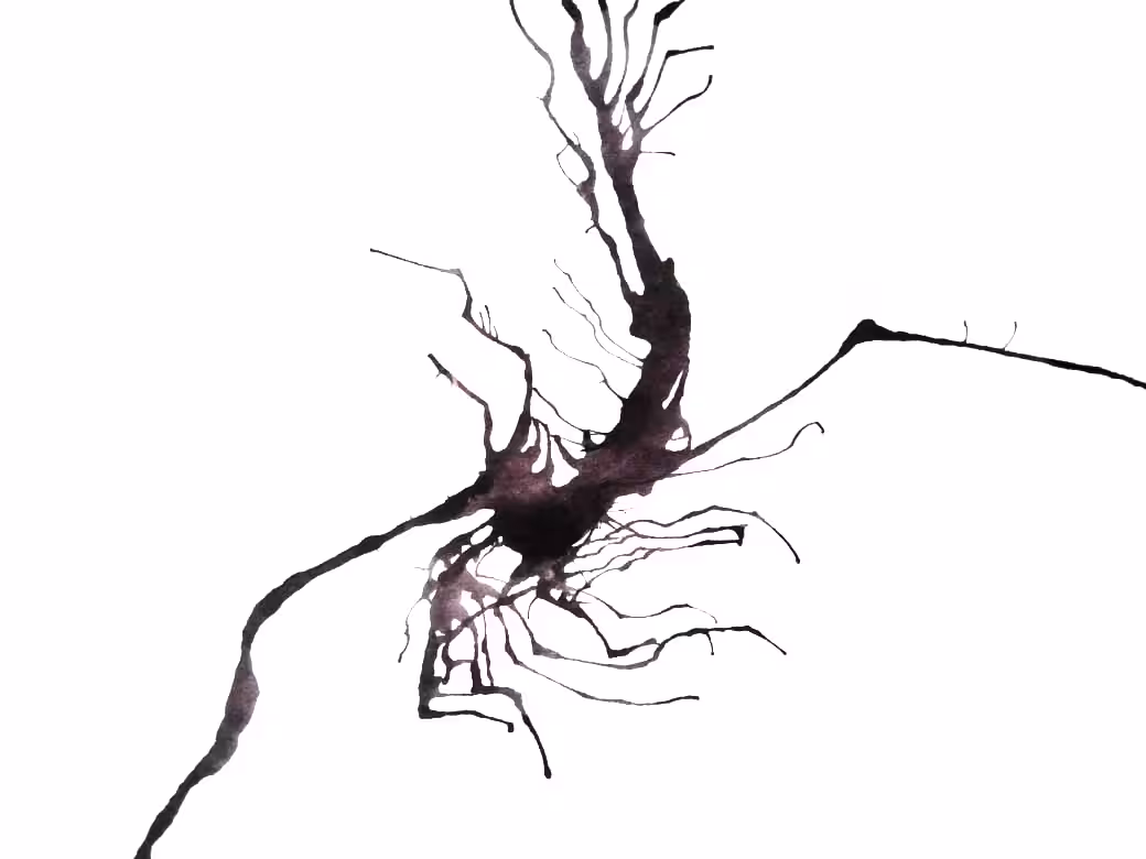 Dark Trails #11