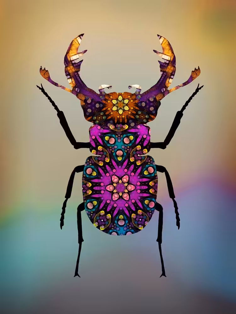 Lucky Beetle (female)