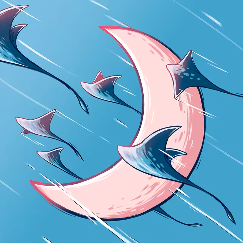 Moon #16 Manta Ray [special]