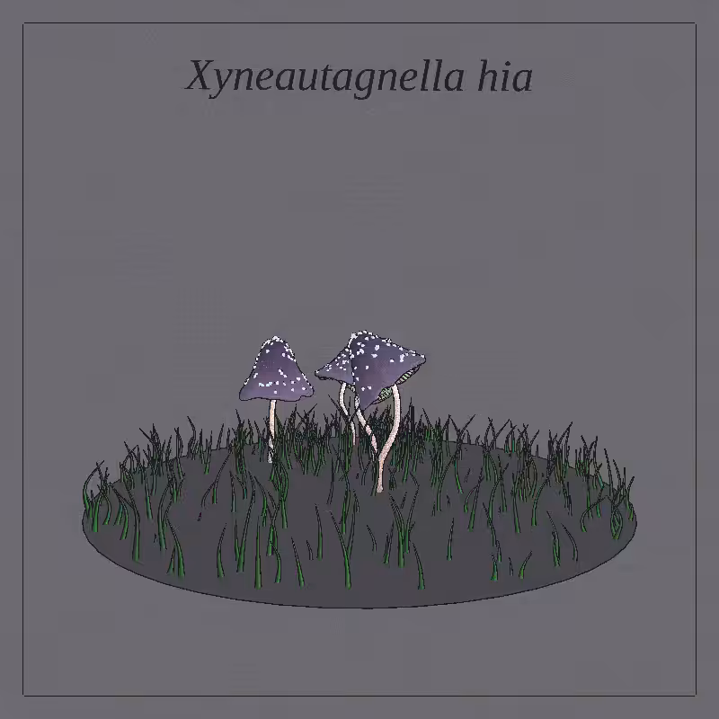 SHROOMS 3D #35