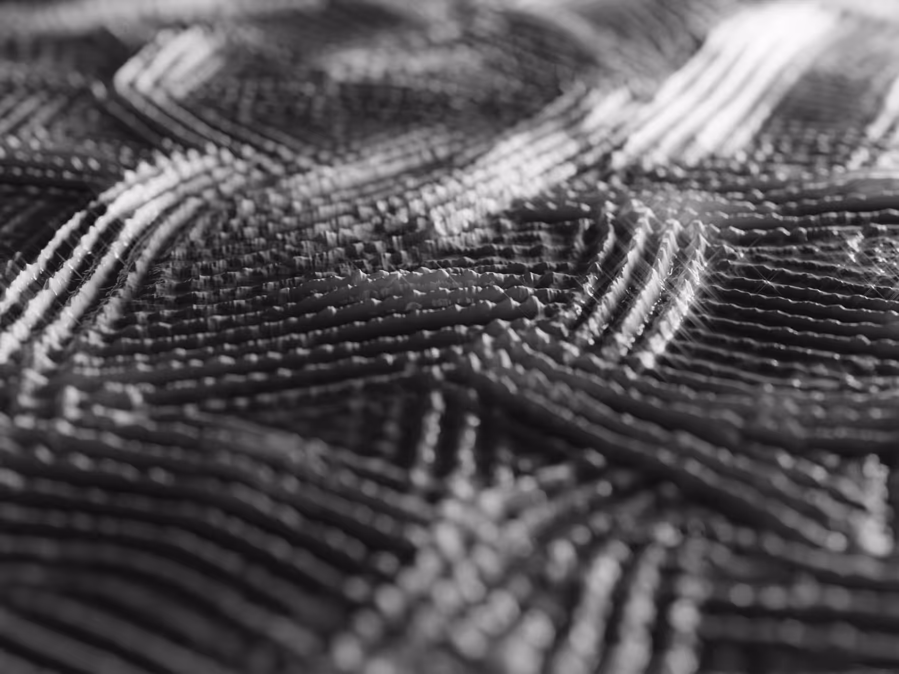 PHYSARUM LANDSCAPE #2