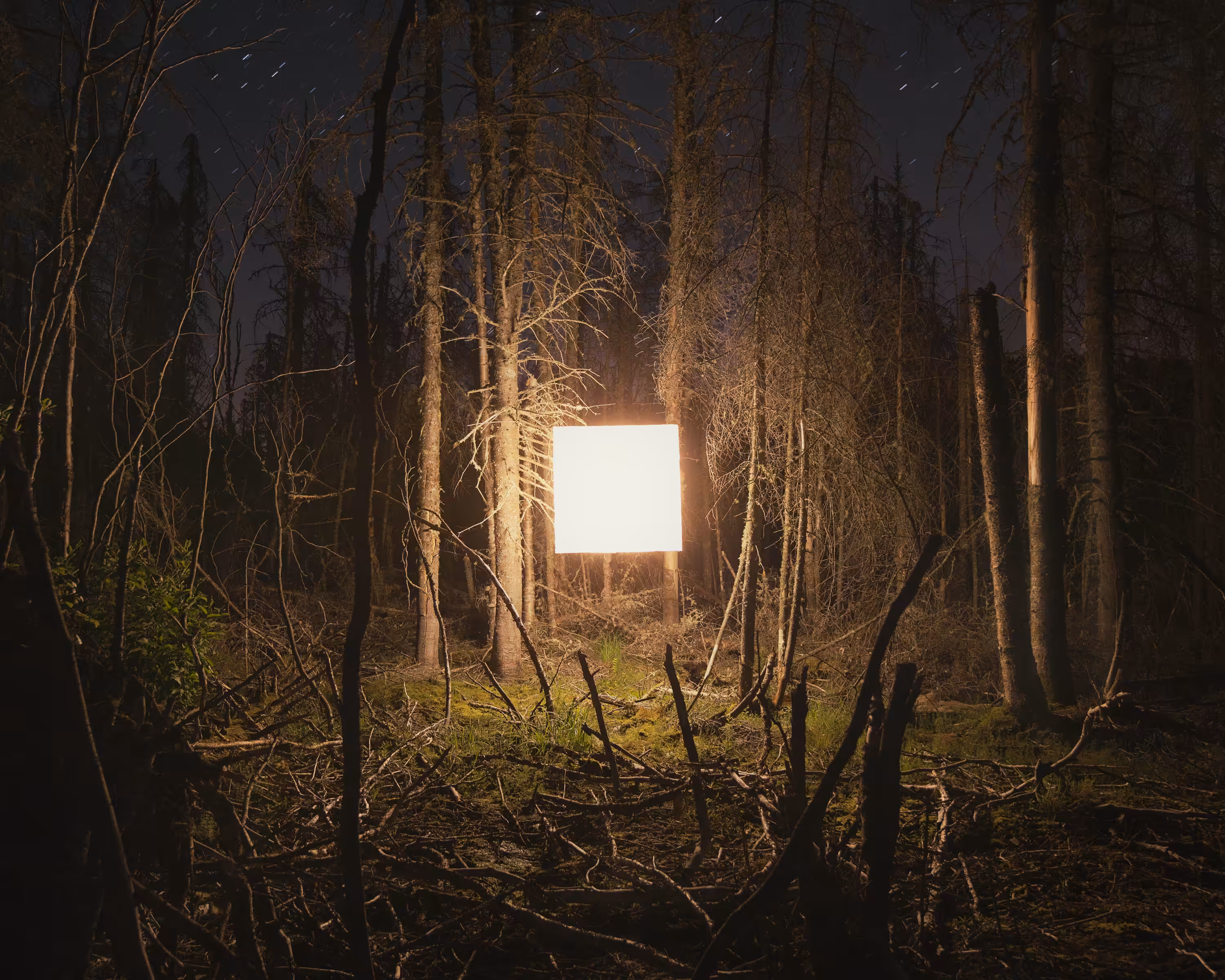 Alternative landscape 011,Quebec,2013