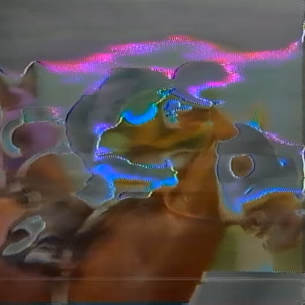 vhs dream 0195