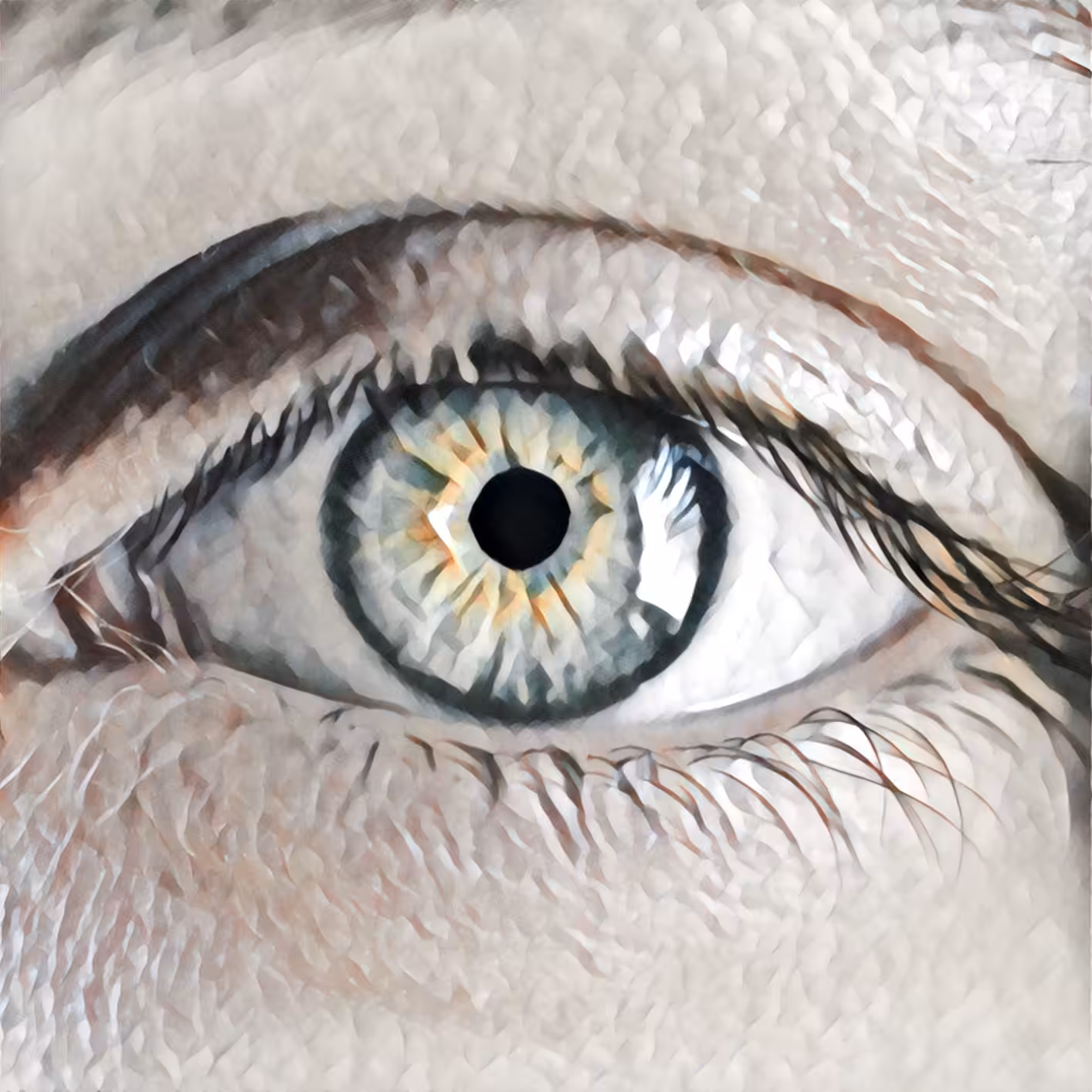 The eyes those silent tongues of love #1