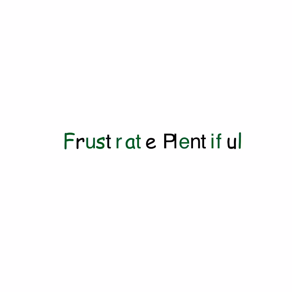 FP x FP #26
