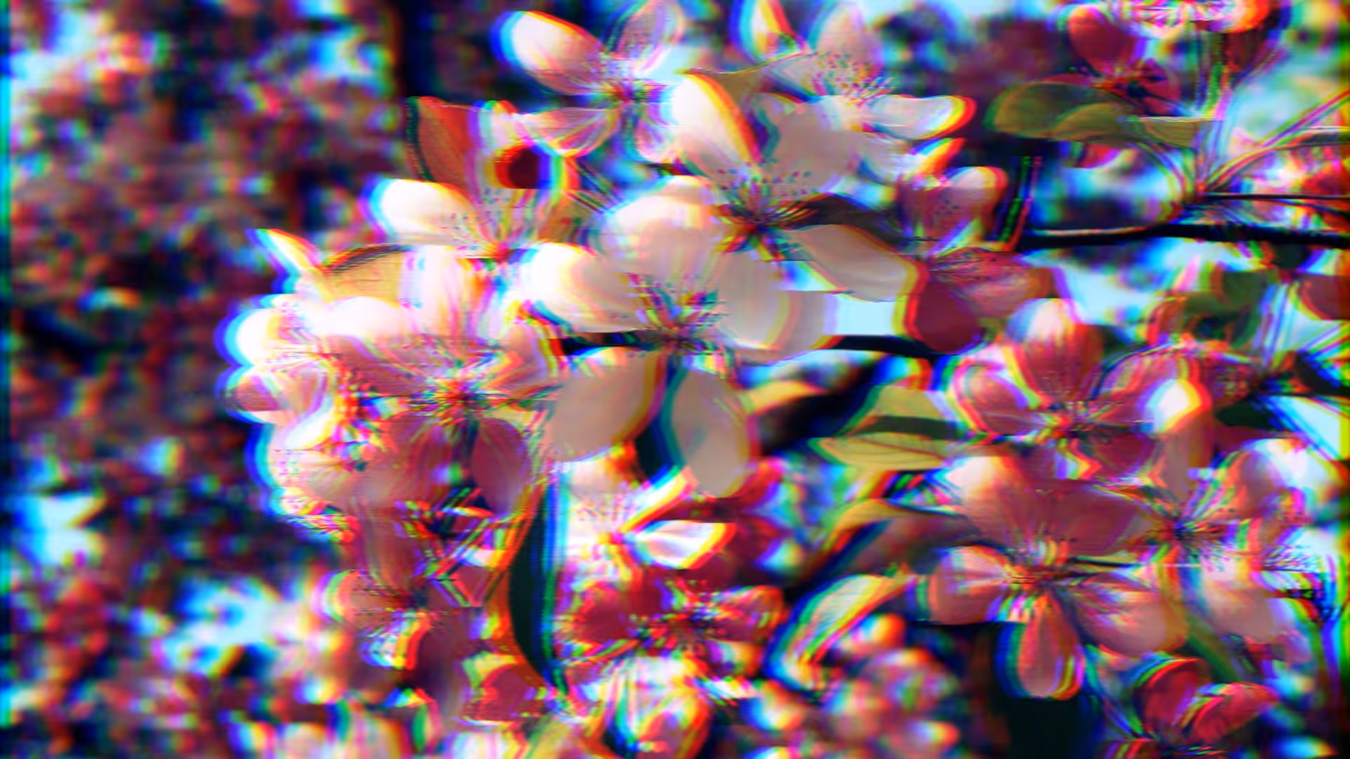 Flowers of Time