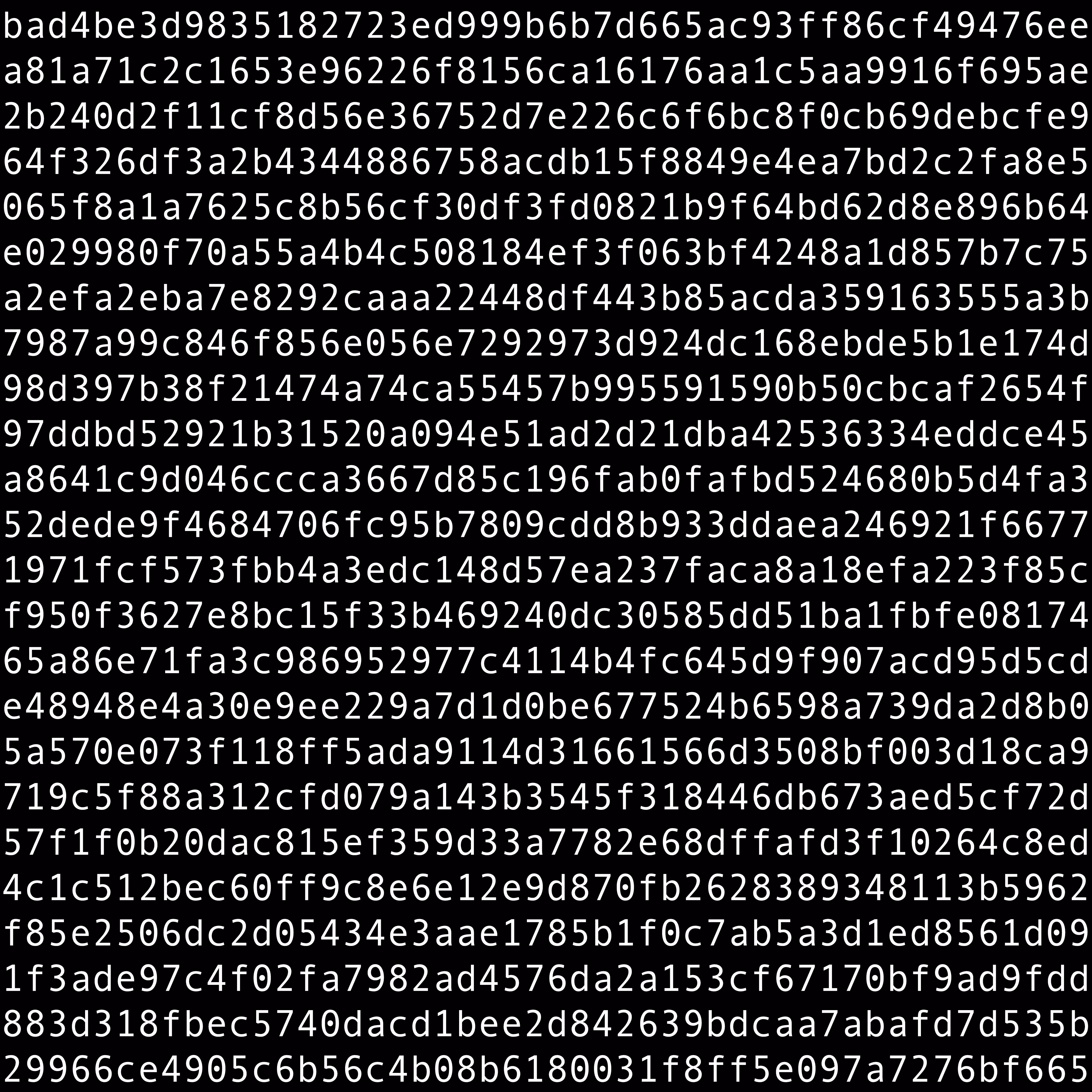 1111 #0095