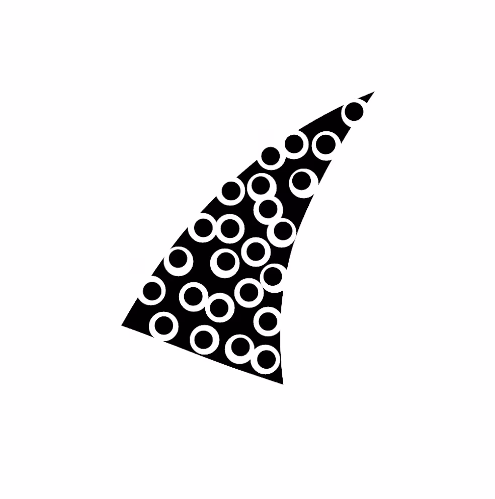 Shark YNR