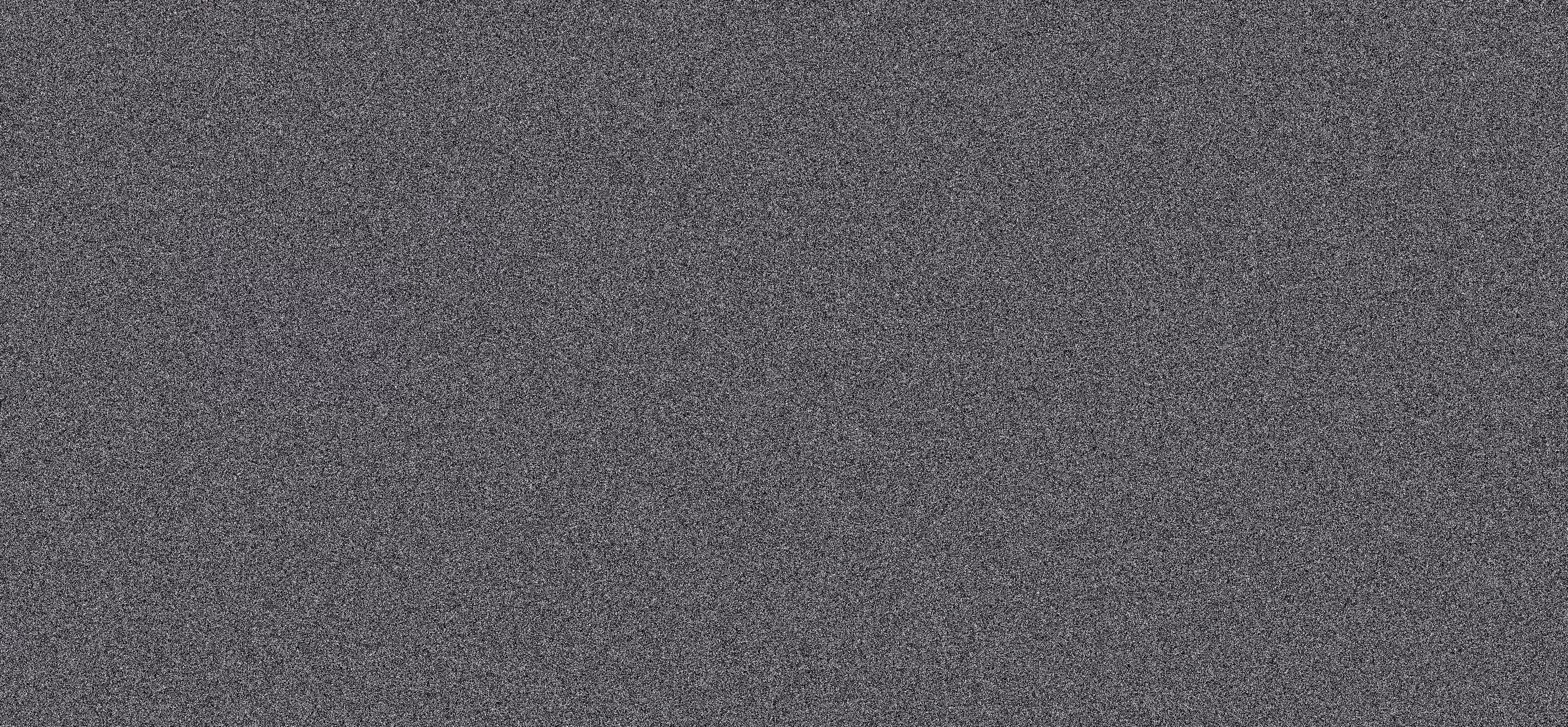 WE ARE NOISE