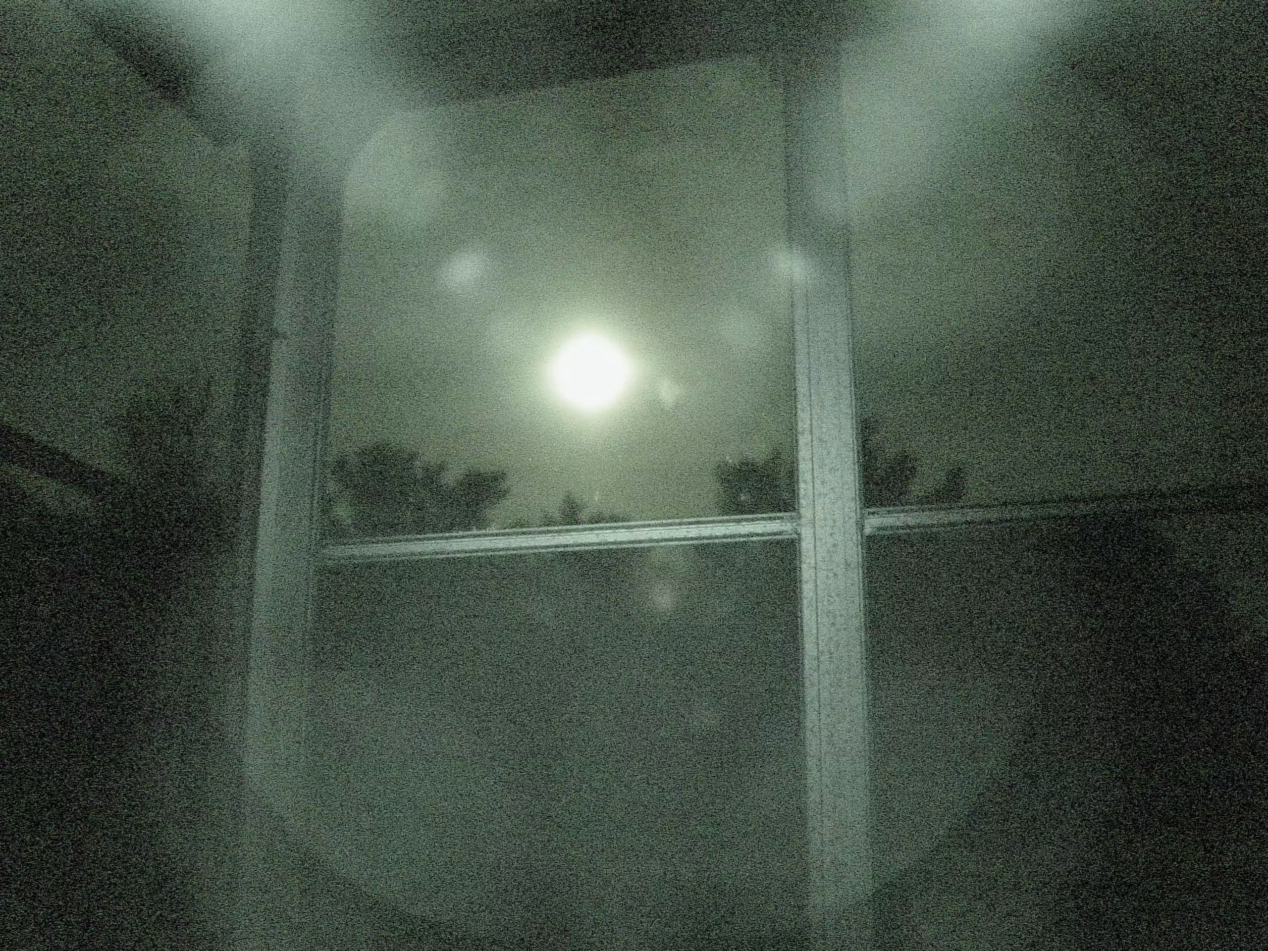 Super Flower Blood Moon [1]