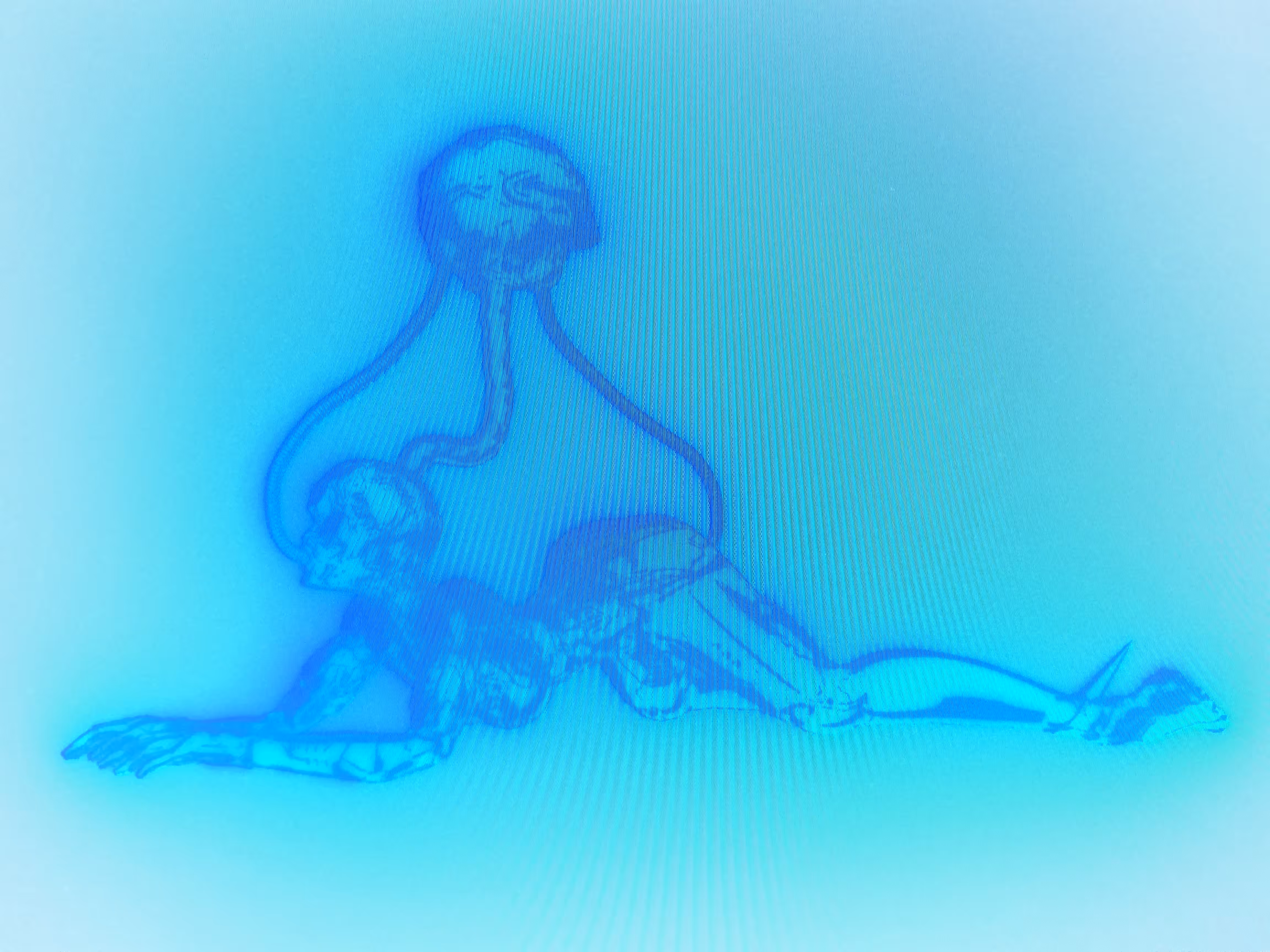 DATA-COLLECTION_MiNT