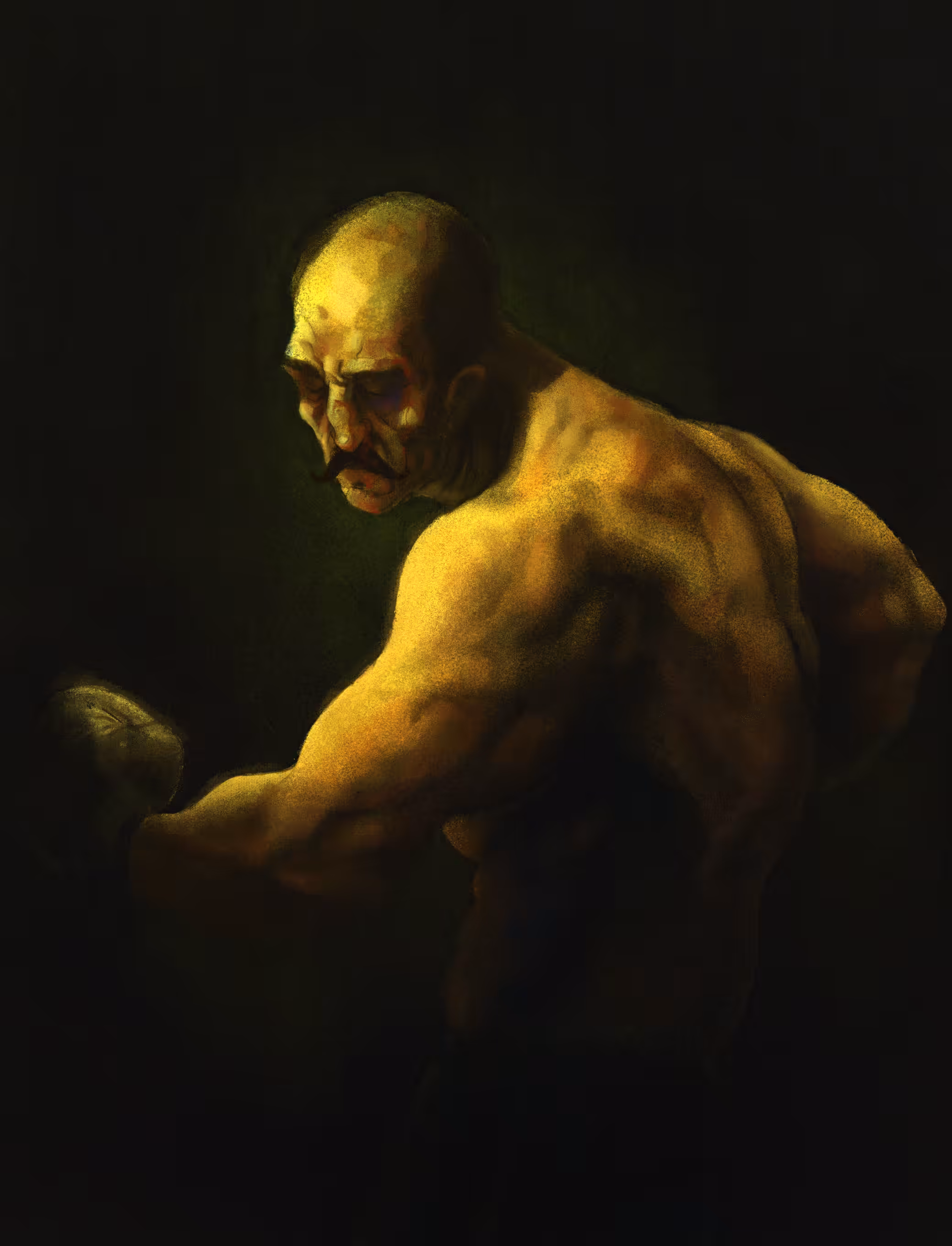 The Boxer