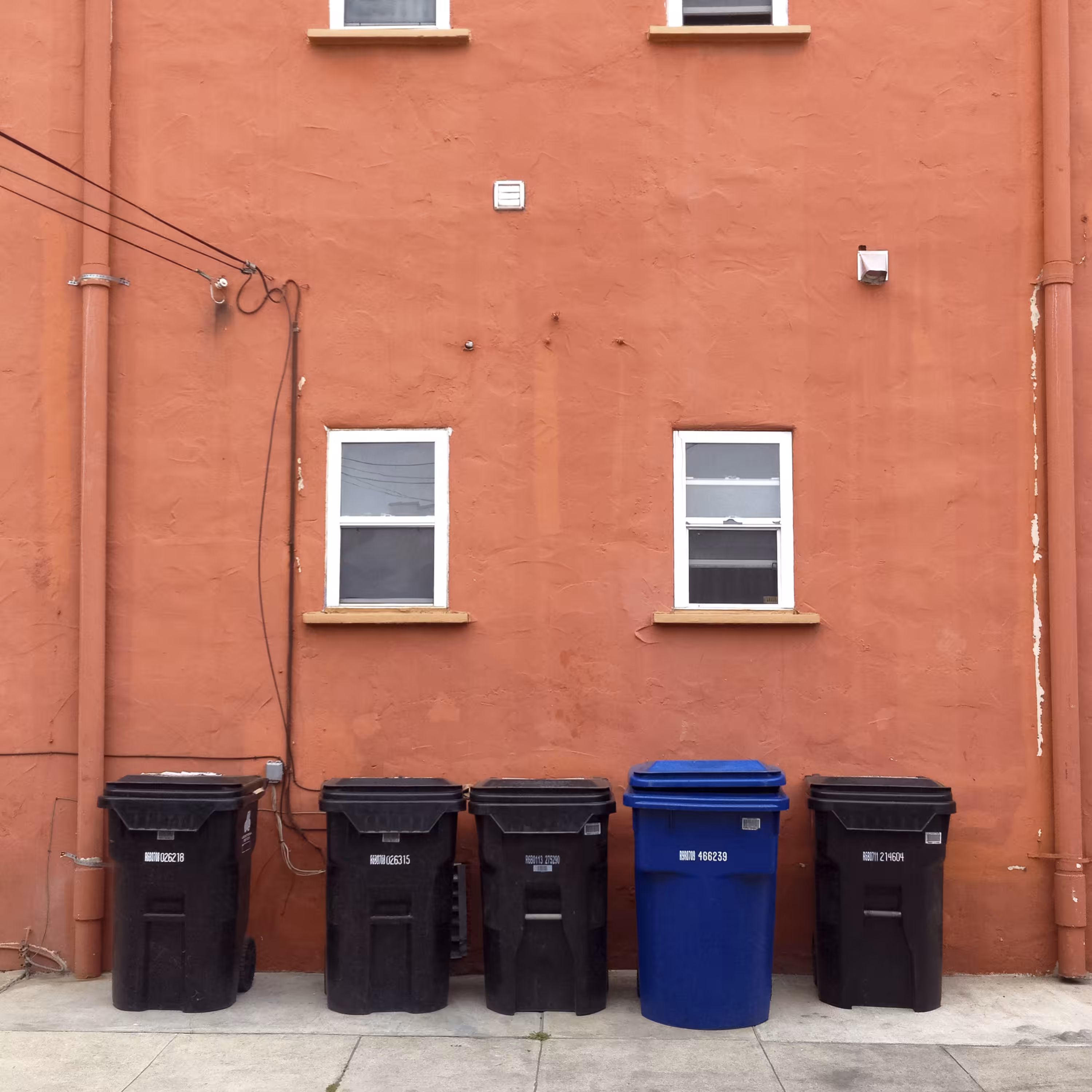 City Trash
