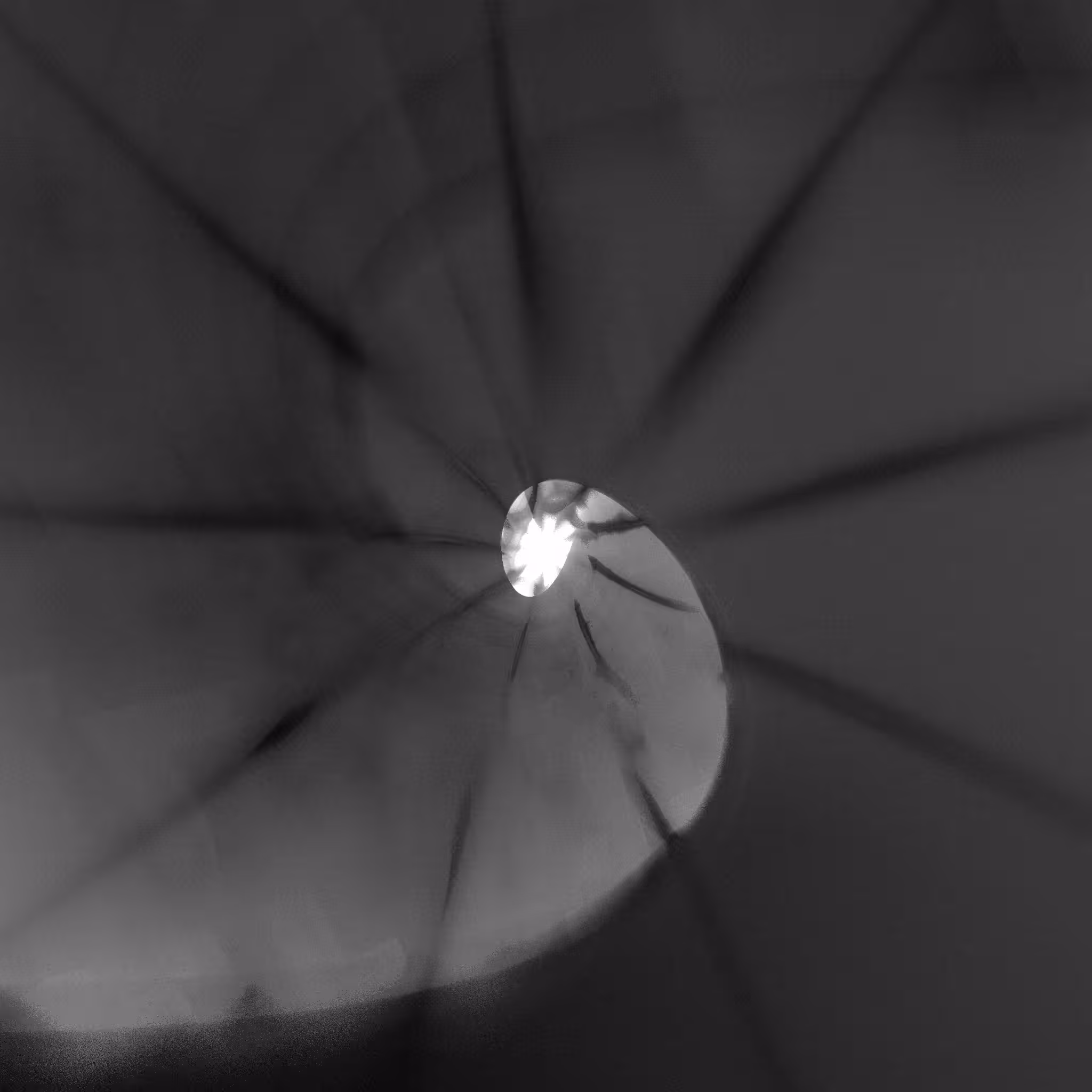 Ataraxis #523