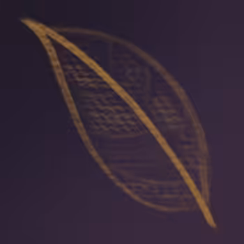 The Dead Leaf