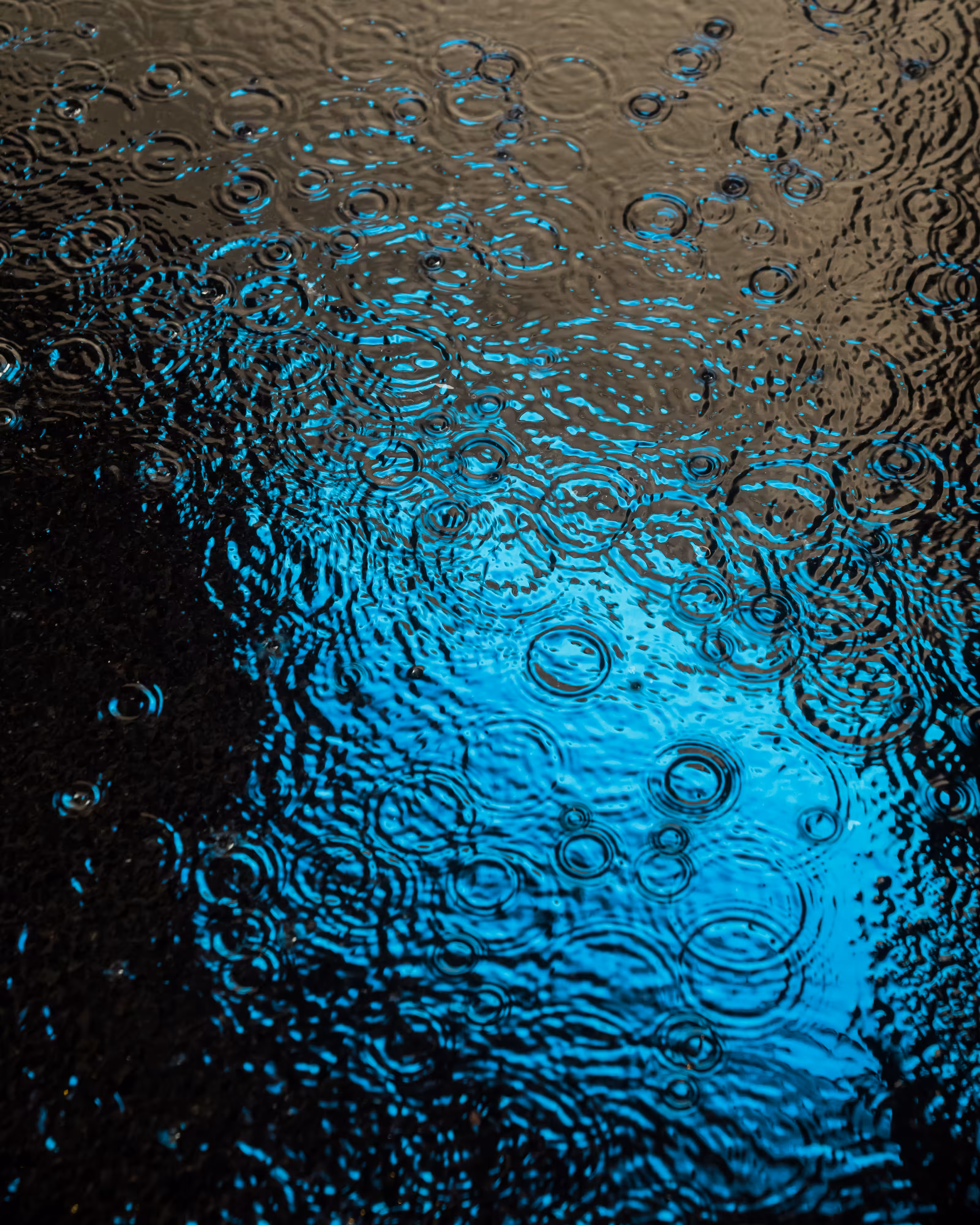 DRIP DROP: DRIP #319