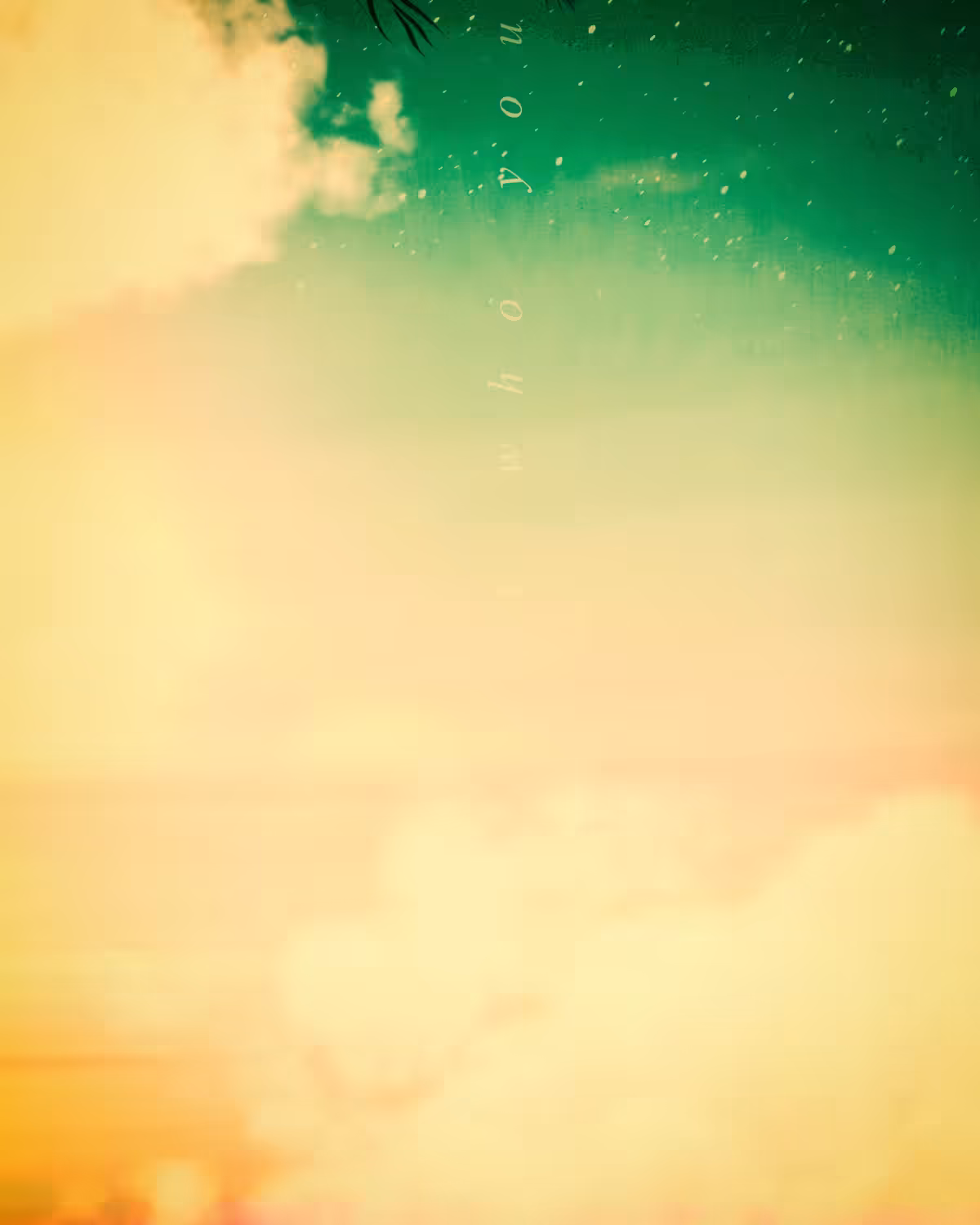 _ ON PURPOSE _