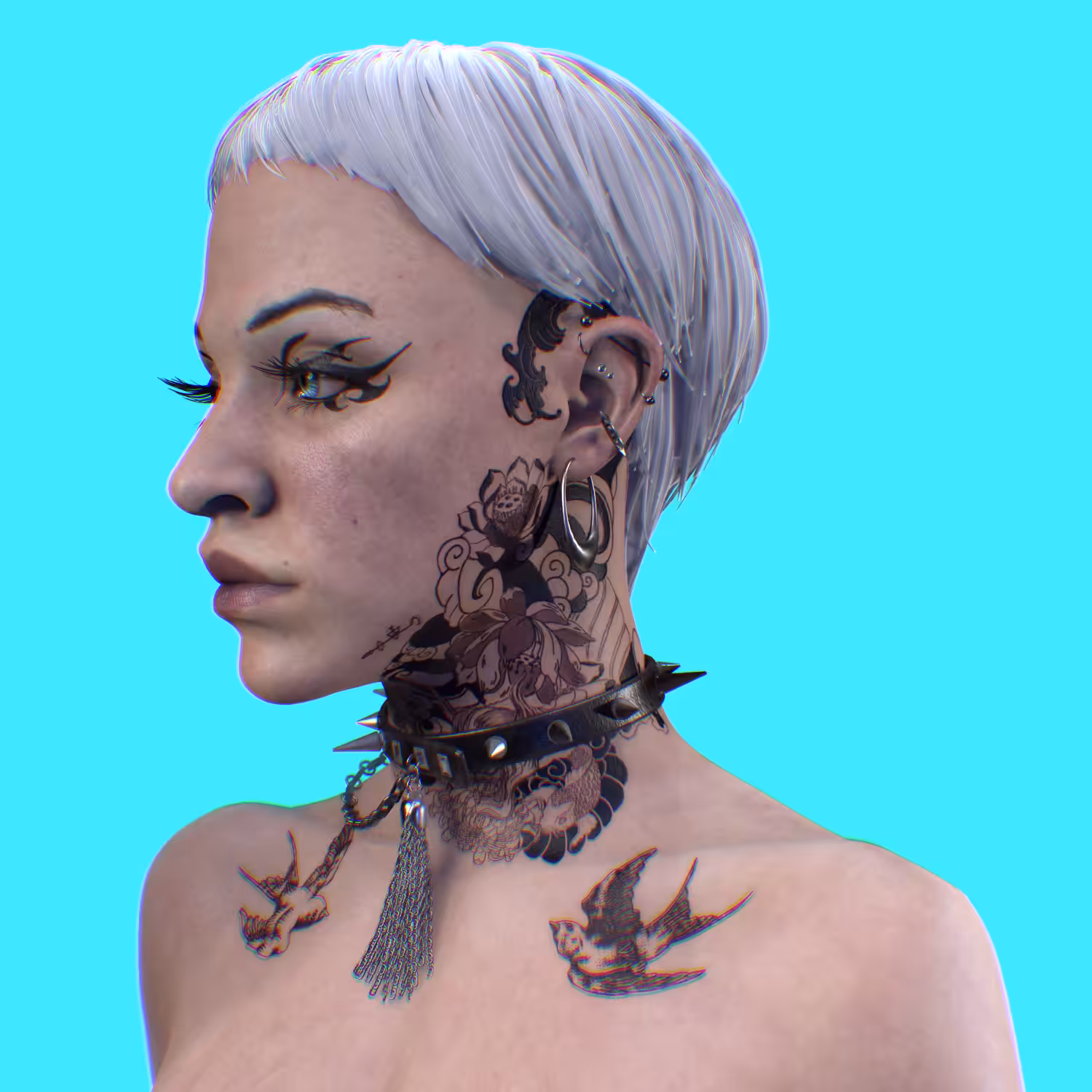 Swallow/Transform
