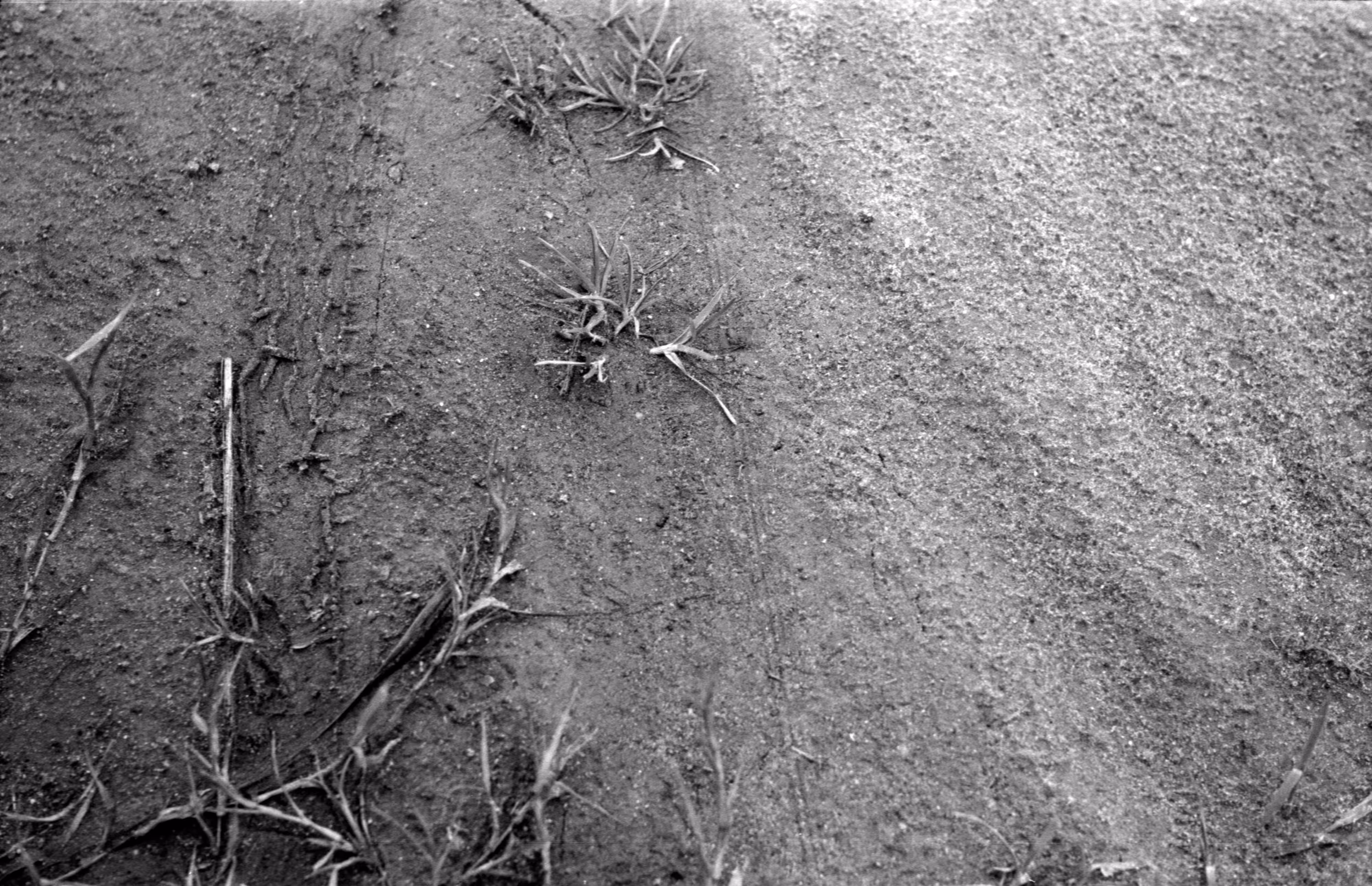 By Accident - The Negatives #119