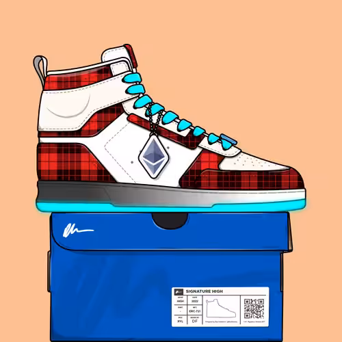Signature Sneakers Highs #540