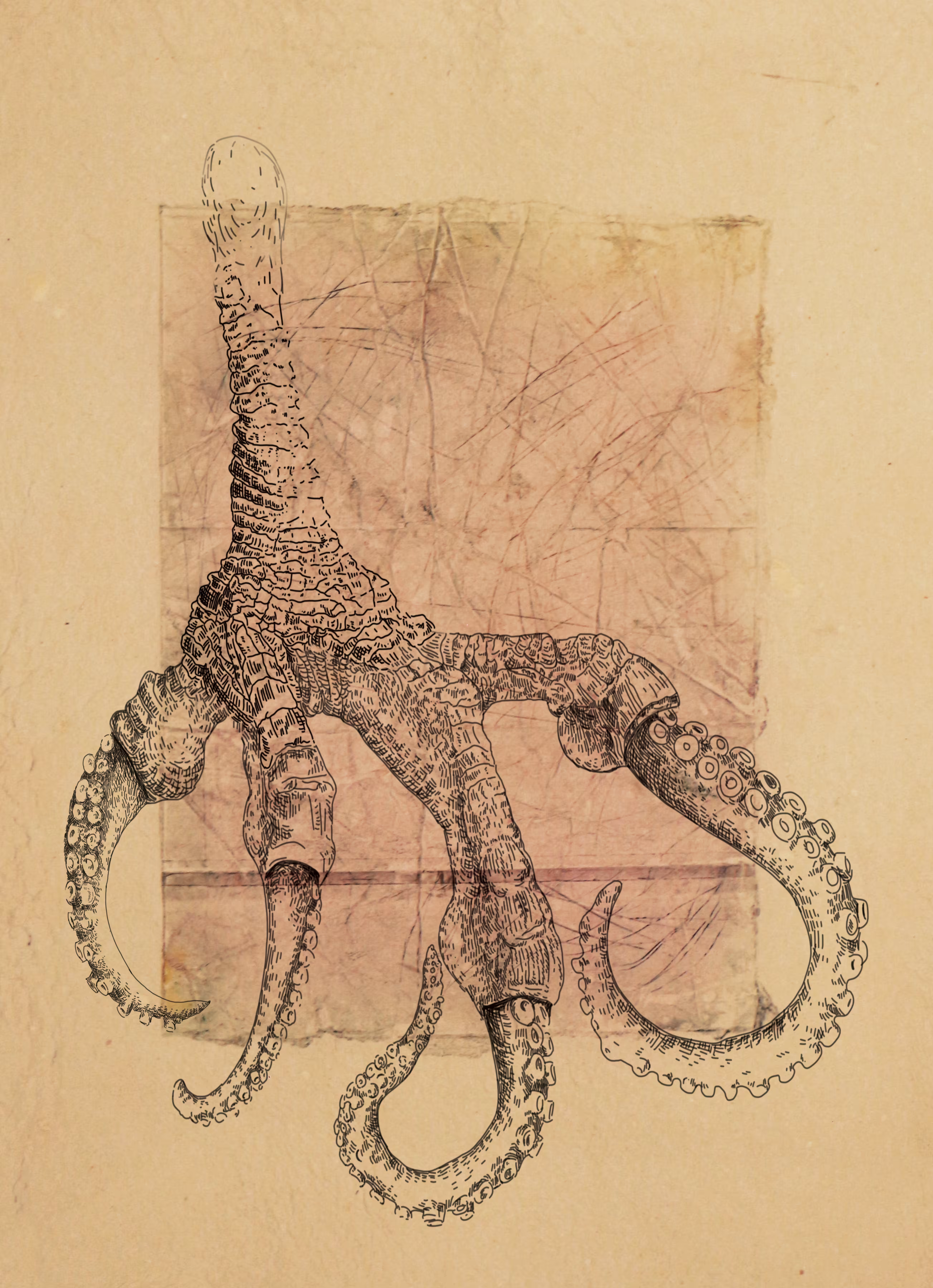Hawkapus